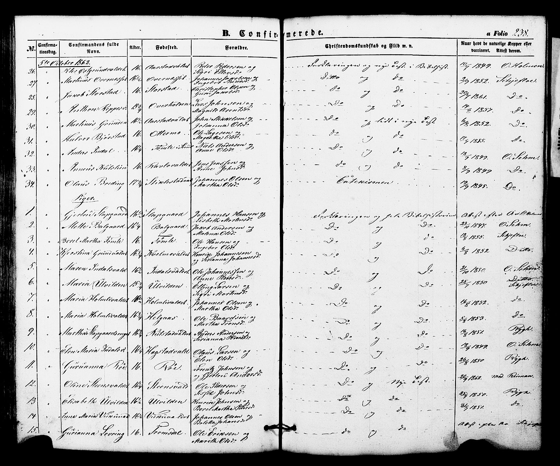Ministerialprotokoller, klokkerbøker og fødselsregistre - Nord-Trøndelag, AV/SAT-A-1458/724/L0268: Parish register (copy) no. 724C04, 1846-1878, p. 238