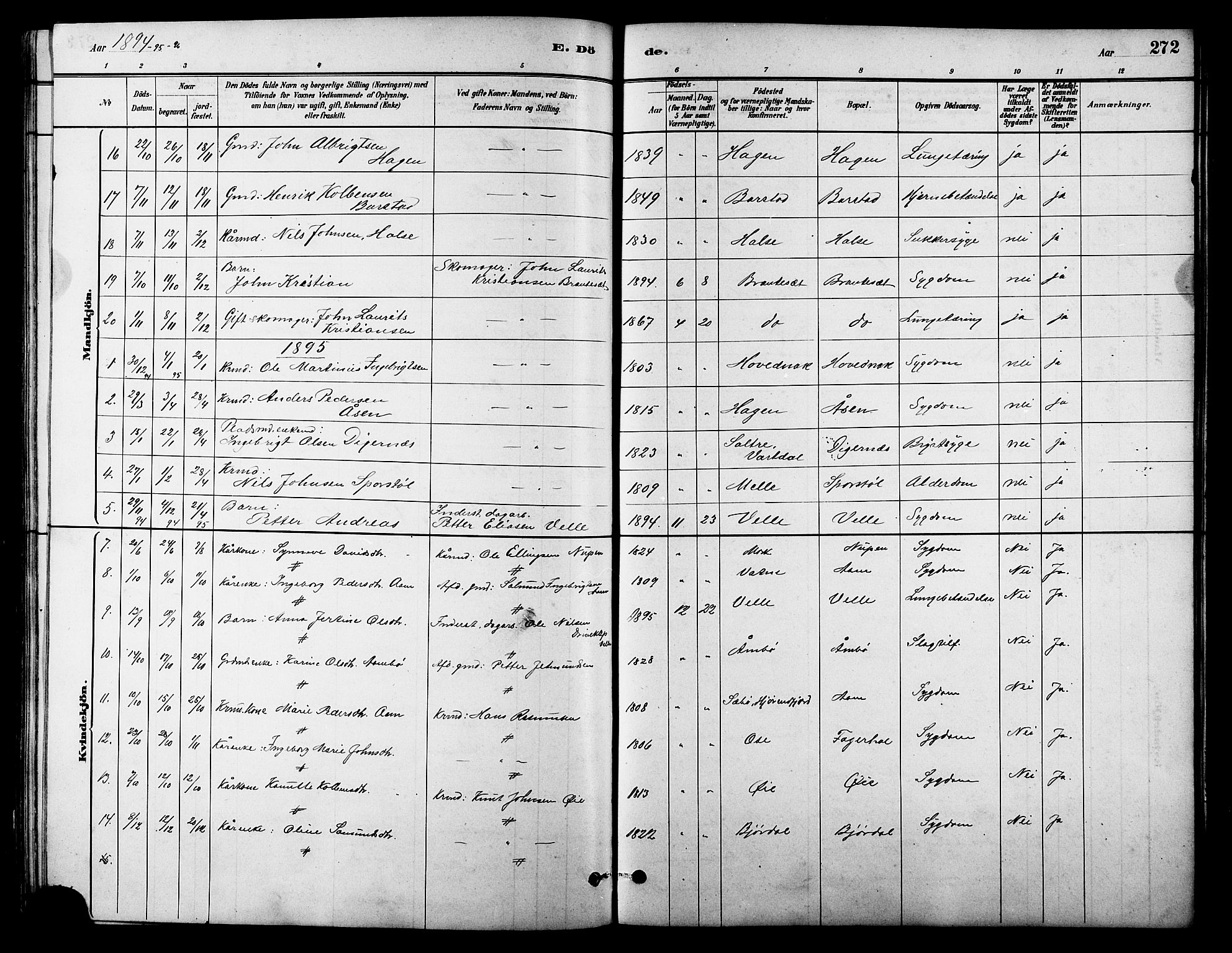 Ministerialprotokoller, klokkerbøker og fødselsregistre - Møre og Romsdal, AV/SAT-A-1454/513/L0189: Parish register (copy) no. 513C03, 1883-1904, p. 272