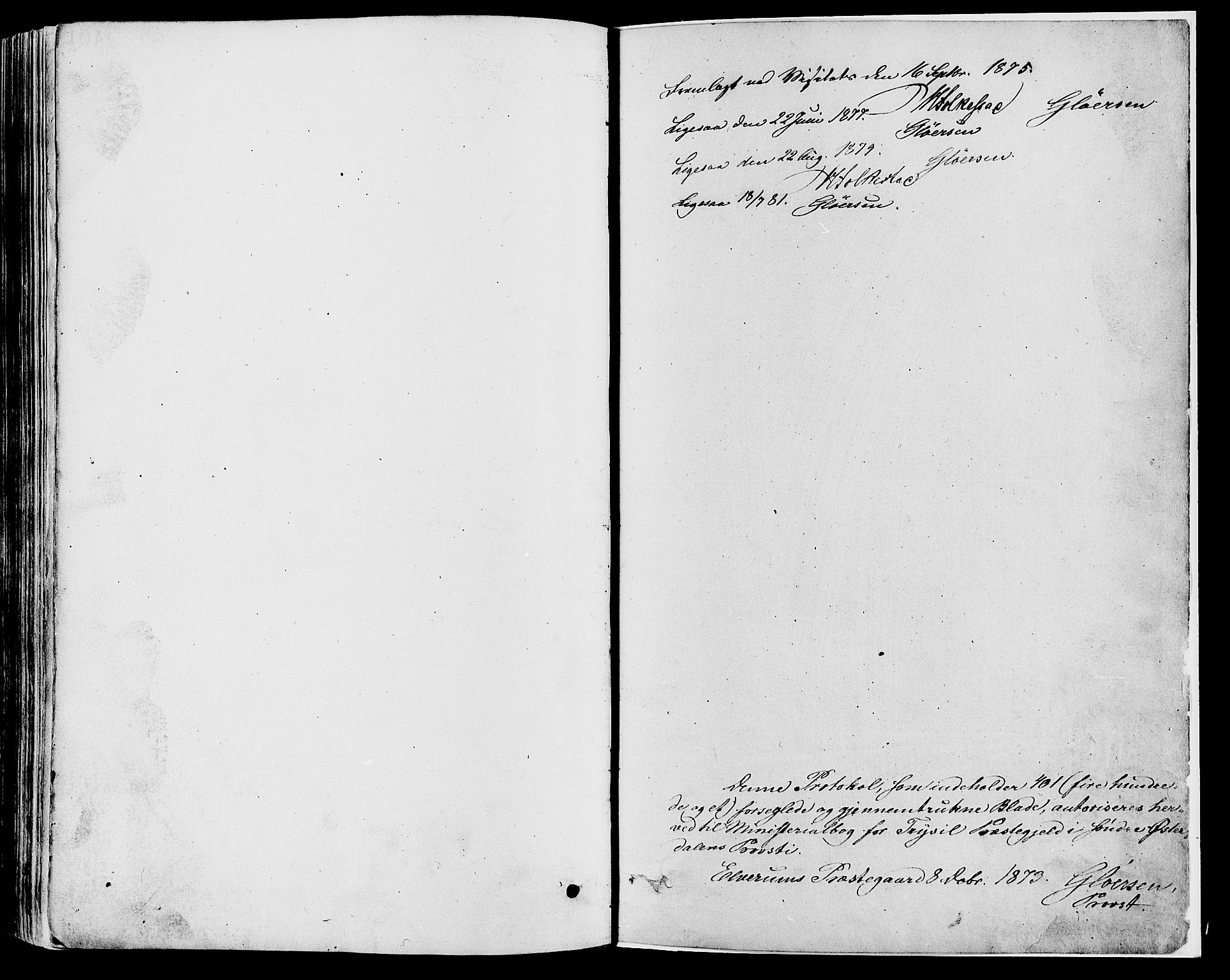 Trysil prestekontor, SAH/PREST-046/H/Ha/Haa/L0007: Parish register (official) no. 7, 1874-1880
