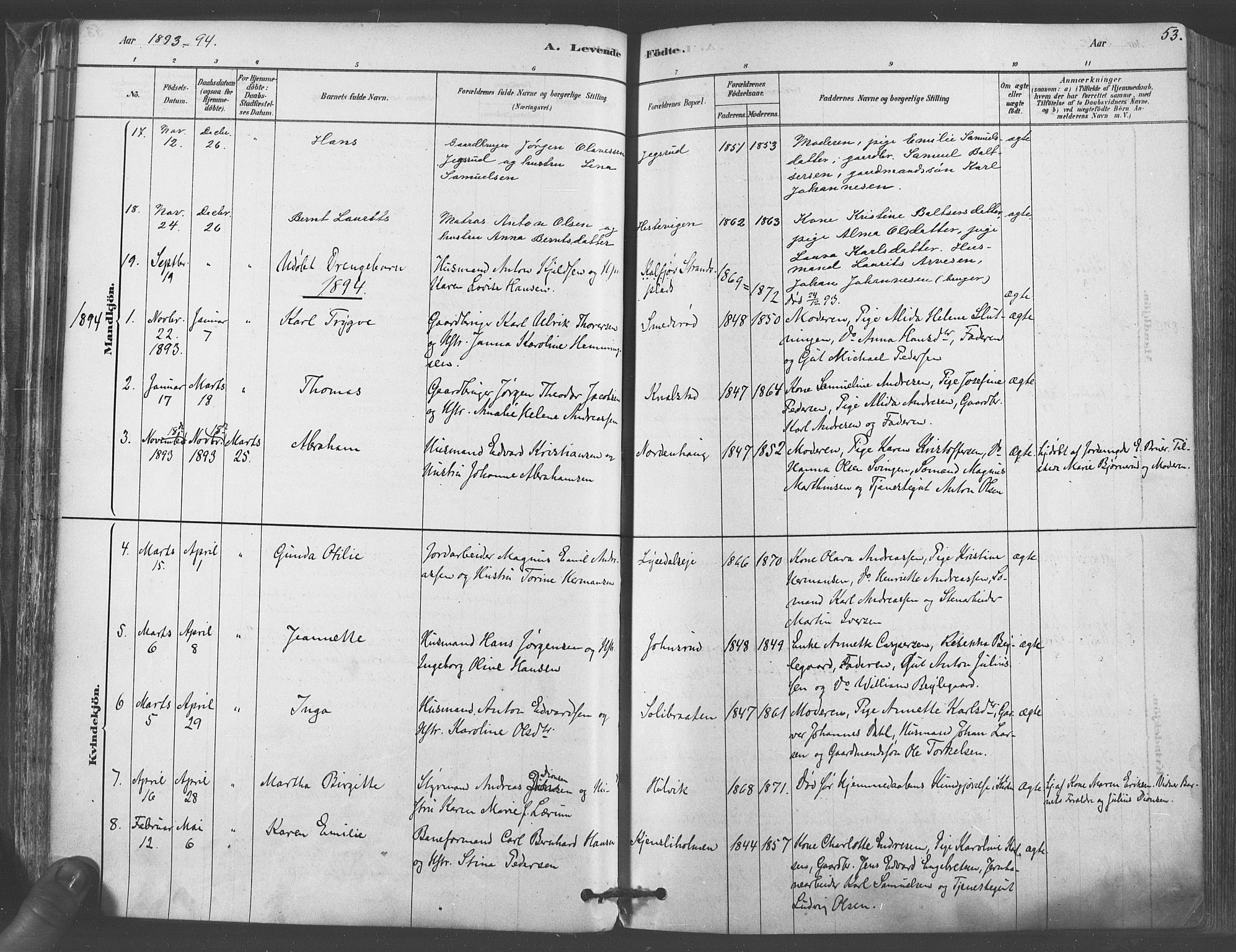 Vestby prestekontor Kirkebøker, AV/SAO-A-10893/F/Fa/L0009: Parish register (official) no. I 9, 1878-1900, p. 53