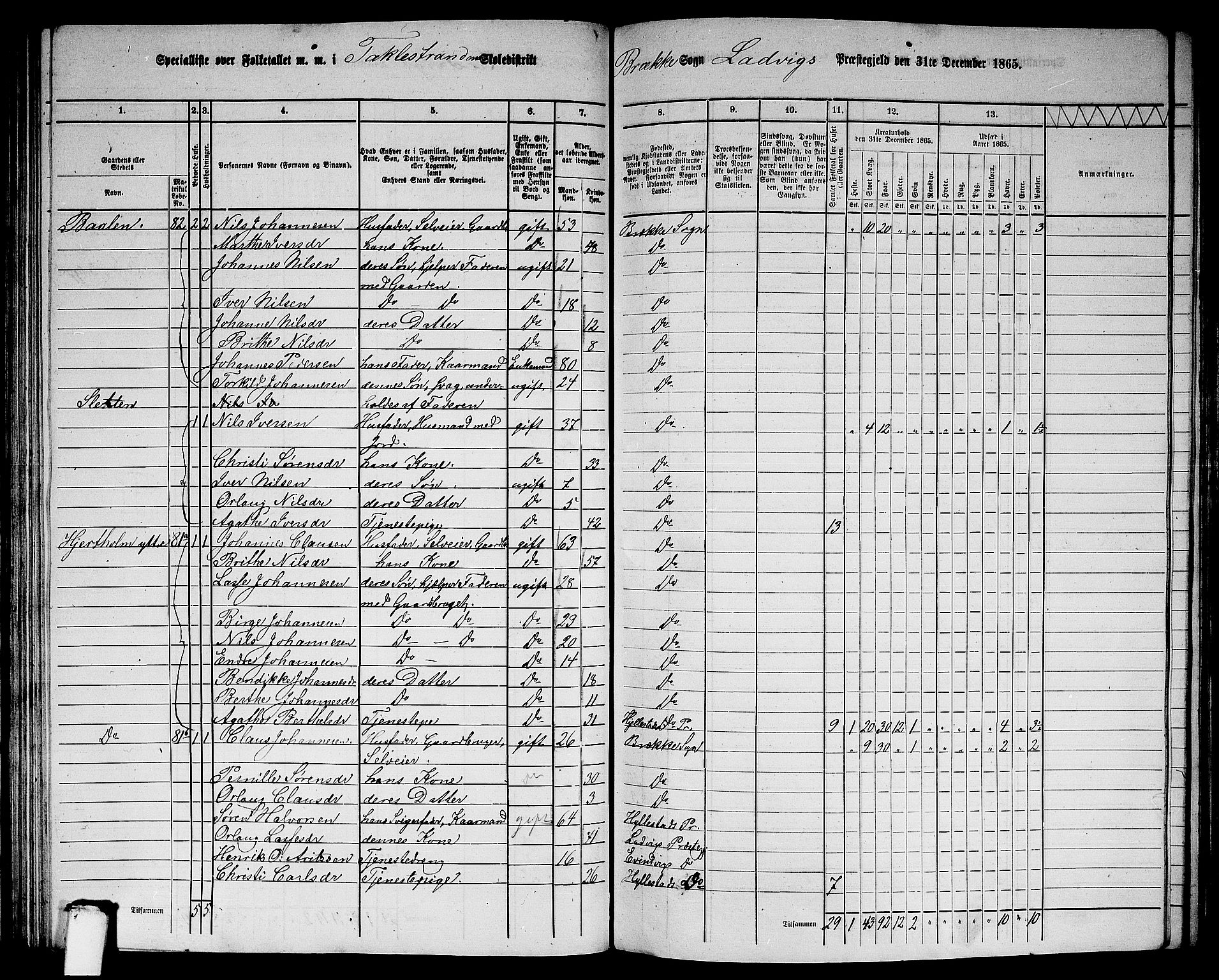 RA, 1865 census for Lavik, 1865, p. 110