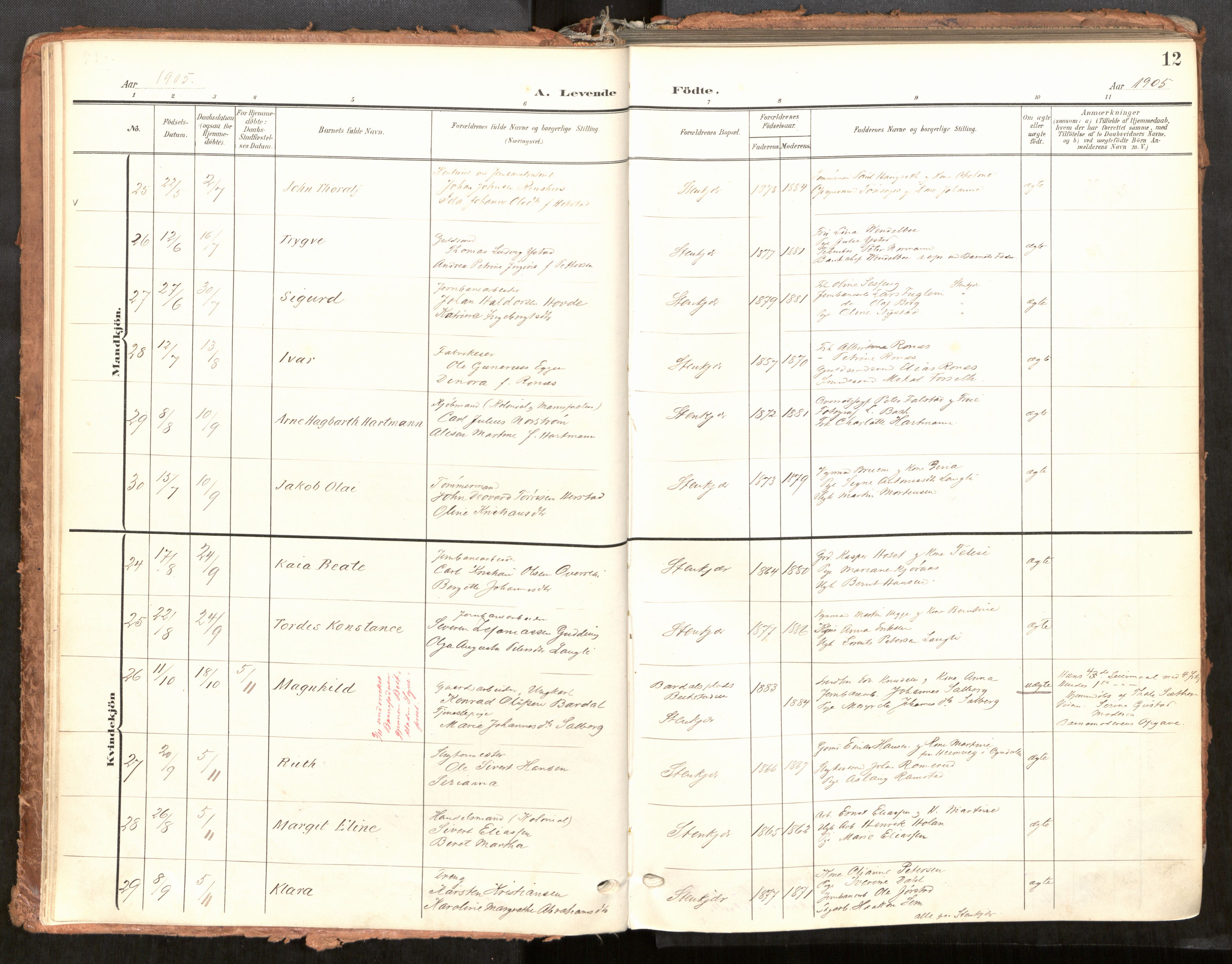 Steinkjer sokneprestkontor, AV/SAT-A-1541/01/H/Ha/Haa/L0001: Parish register (official) no. 1, 1904-1912, p. 12