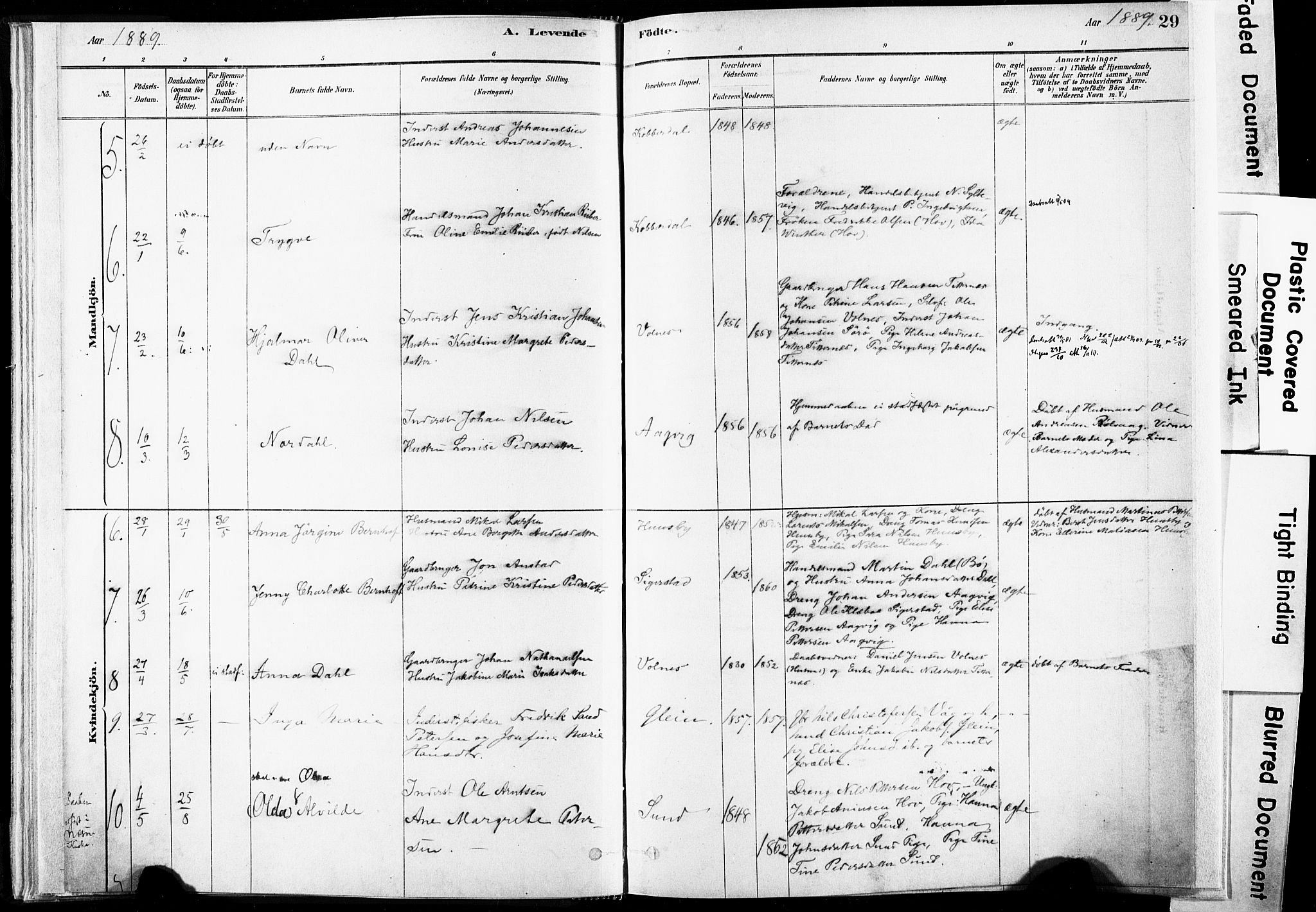 Ministerialprotokoller, klokkerbøker og fødselsregistre - Nordland, SAT/A-1459/835/L0525: Parish register (official) no. 835A03I, 1881-1910, p. 29