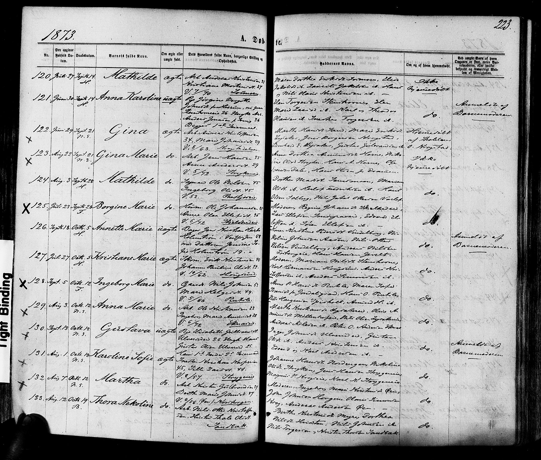 Eiker kirkebøker, AV/SAKO-A-4/F/Fa/L0017: Parish register (official) no. I 17, 1869-1877, p. 223