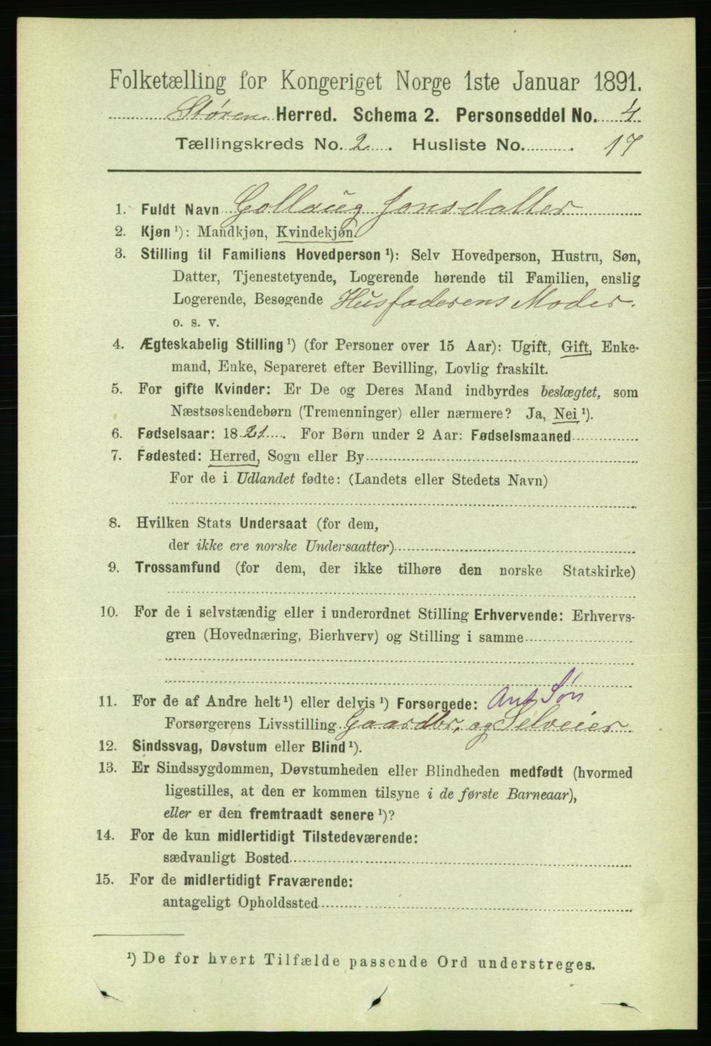 RA, 1891 census for 1648 Støren, 1891, p. 513