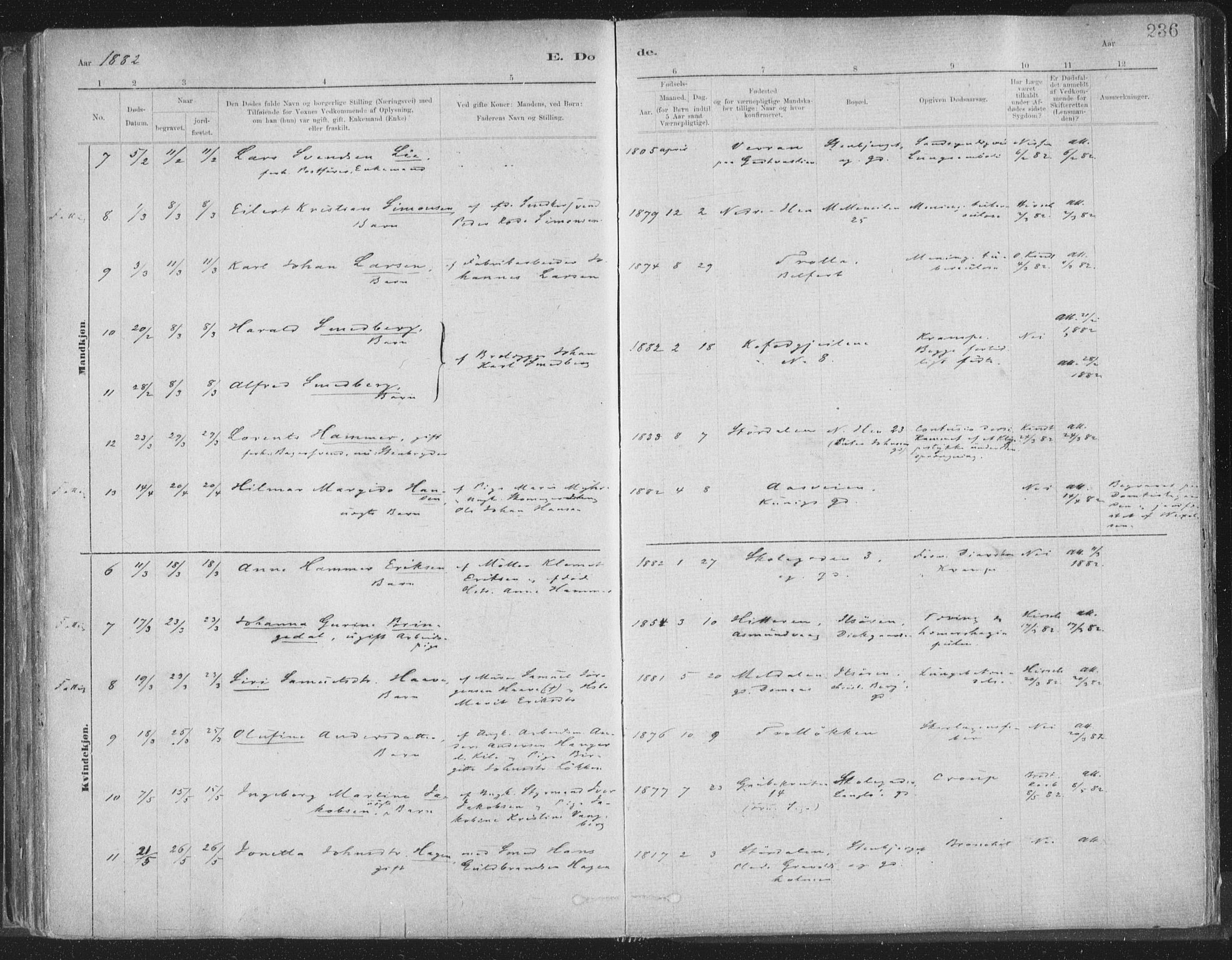 Ministerialprotokoller, klokkerbøker og fødselsregistre - Sør-Trøndelag, SAT/A-1456/603/L0162: Parish register (official) no. 603A01, 1879-1895, p. 236