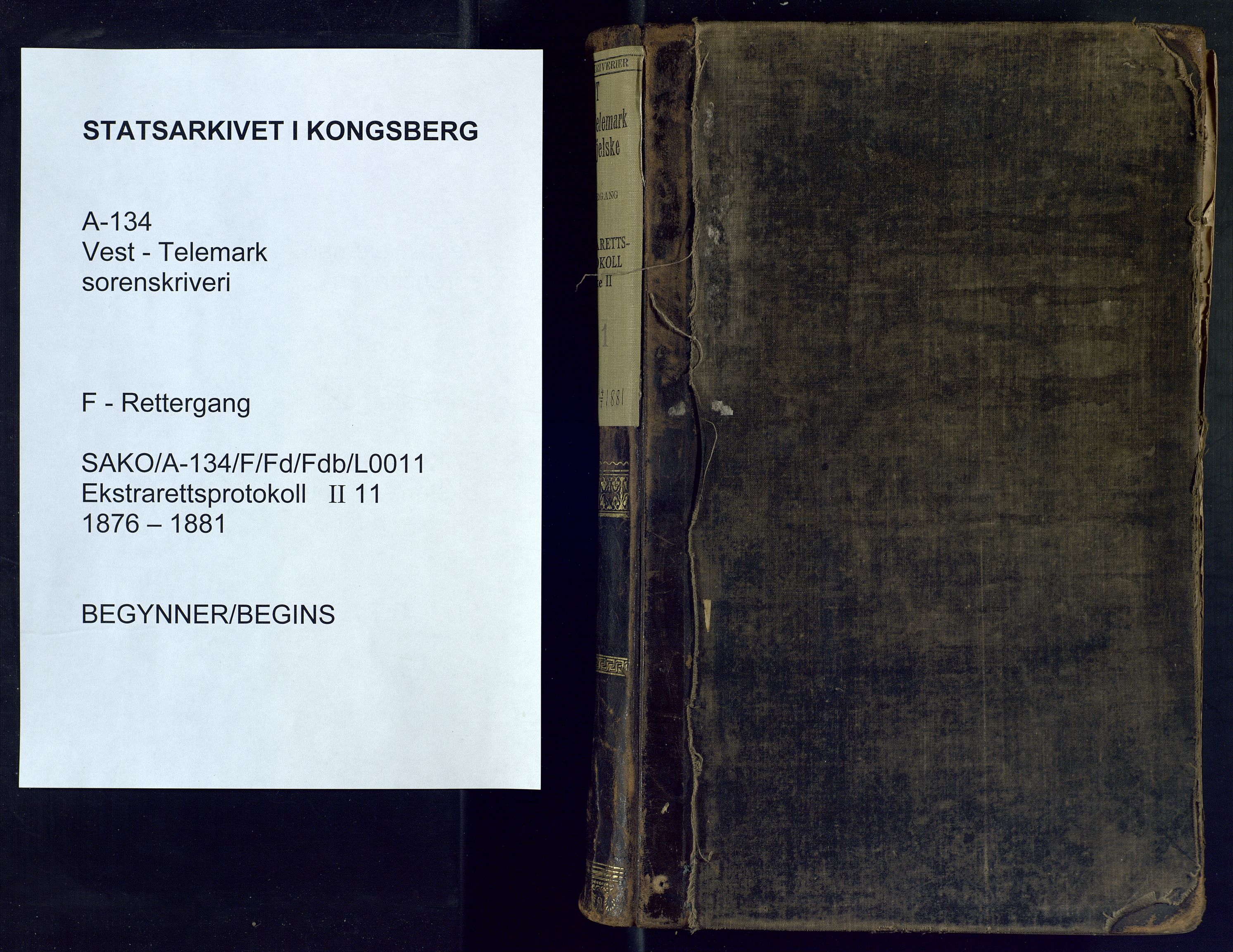 Vest-Telemark sorenskriveri, SAKO/A-134/F/Fd/Fdb/L0011: Ekstrarettsprotokoll, 1876-1881