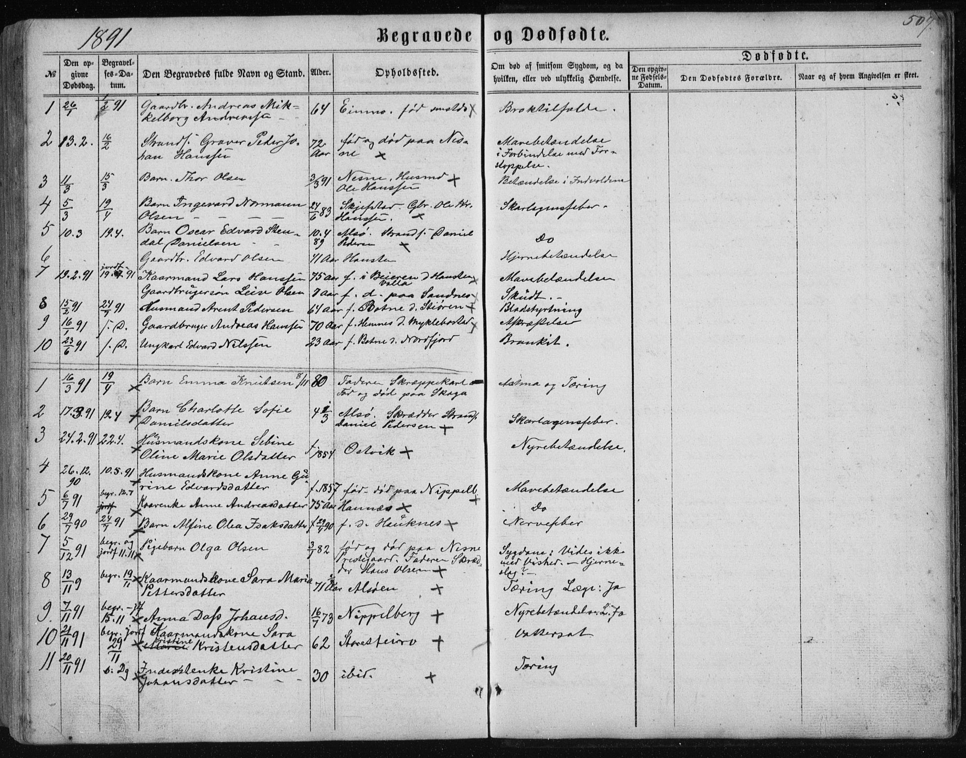 Ministerialprotokoller, klokkerbøker og fødselsregistre - Nordland, AV/SAT-A-1459/838/L0556: Parish register (copy) no. 838C03, 1861-1893, p. 509