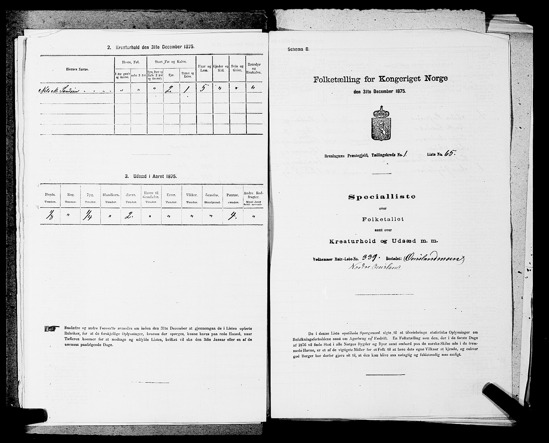 SAKO, 1875 census for 0726P Brunlanes, 1875, p. 196