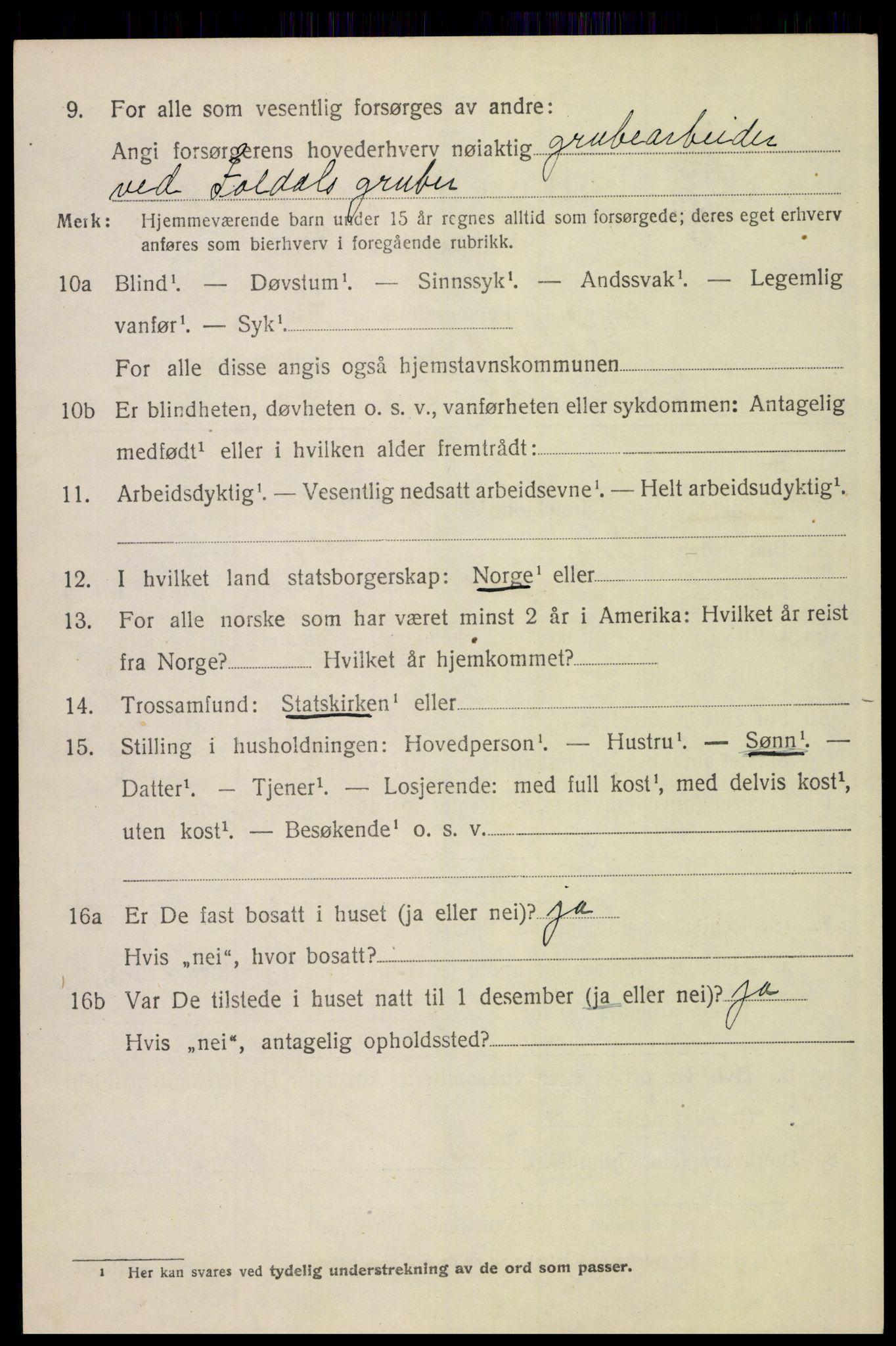 SAH, 1920 census for Folldal, 1920, p. 3916