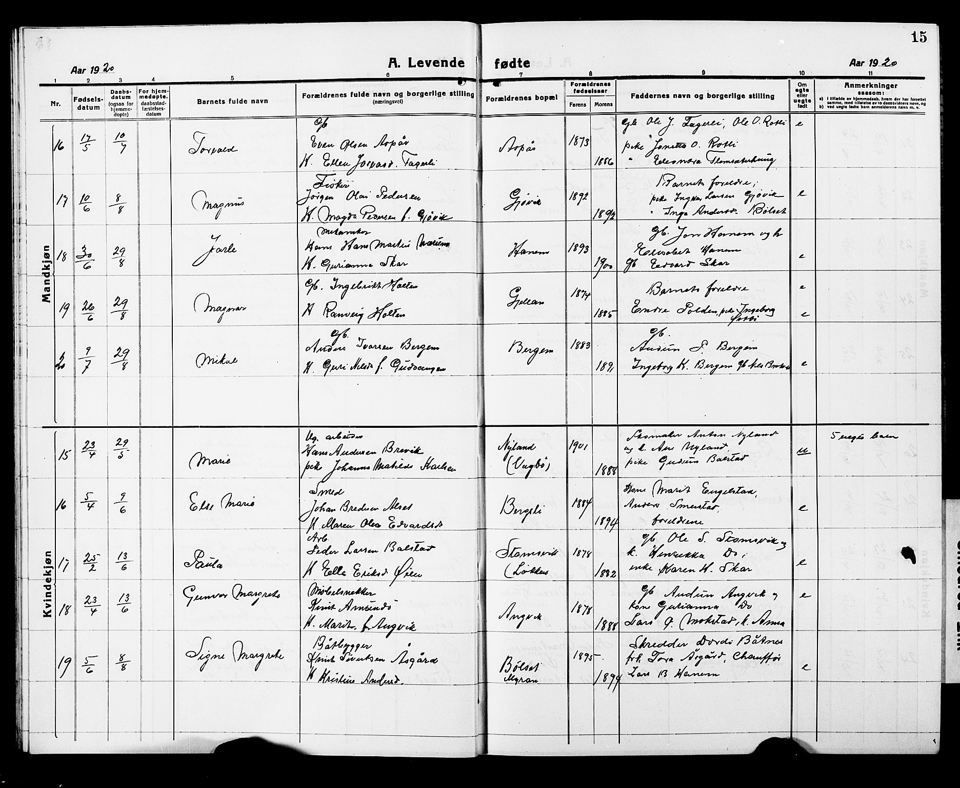 Ministerialprotokoller, klokkerbøker og fødselsregistre - Møre og Romsdal, AV/SAT-A-1454/586/L0994: Parish register (copy) no. 586C05, 1919-1927, p. 15