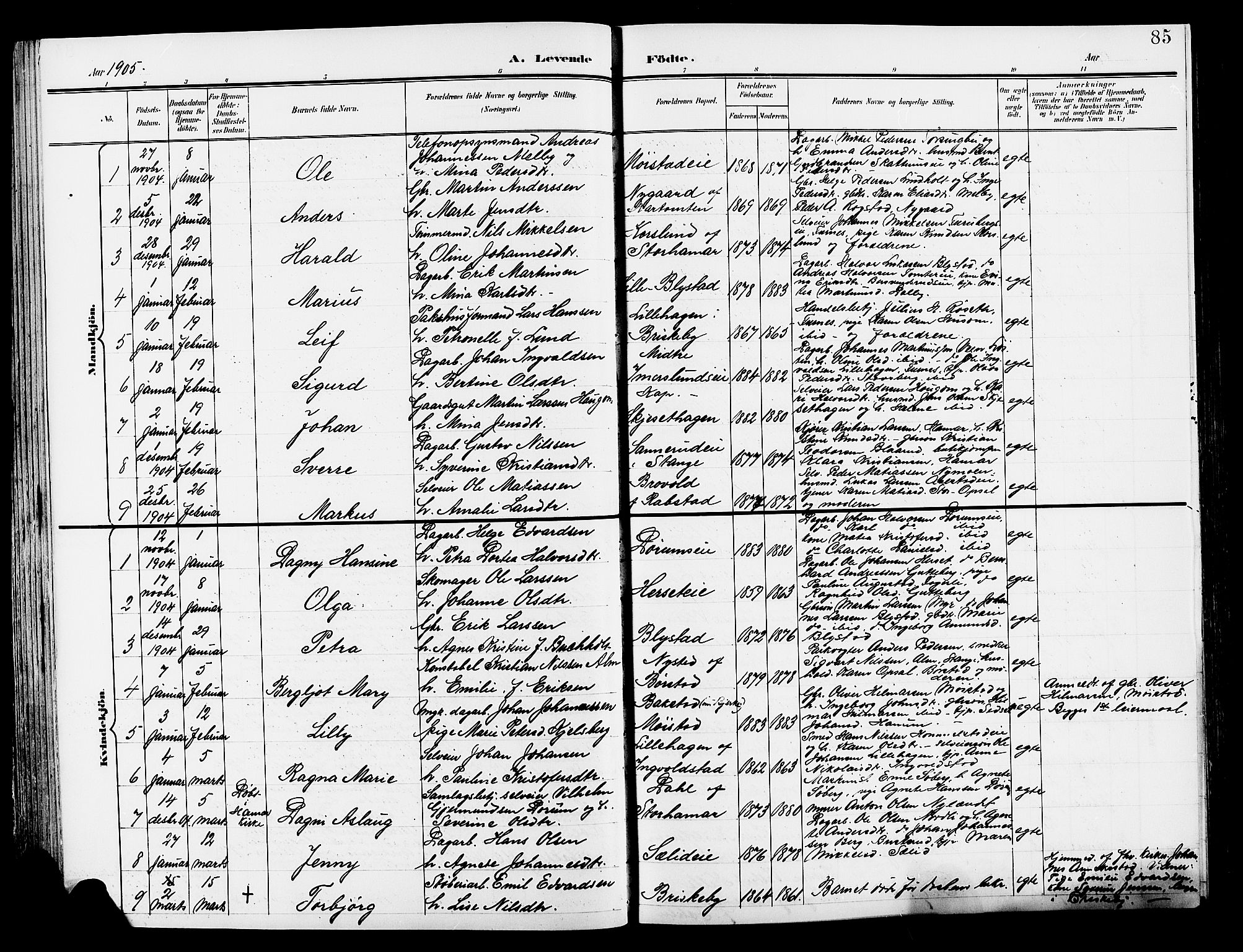 Vang prestekontor, Hedmark, AV/SAH-PREST-008/H/Ha/Hab/L0014: Parish register (copy) no. 14, 1896-1914, p. 85
