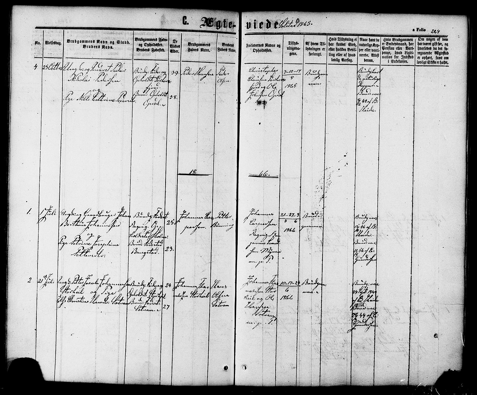 Ministerialprotokoller, klokkerbøker og fødselsregistre - Nordland, AV/SAT-A-1459/810/L0147: Parish register (official) no. 810A08 /2, 1862-1874, p. 224