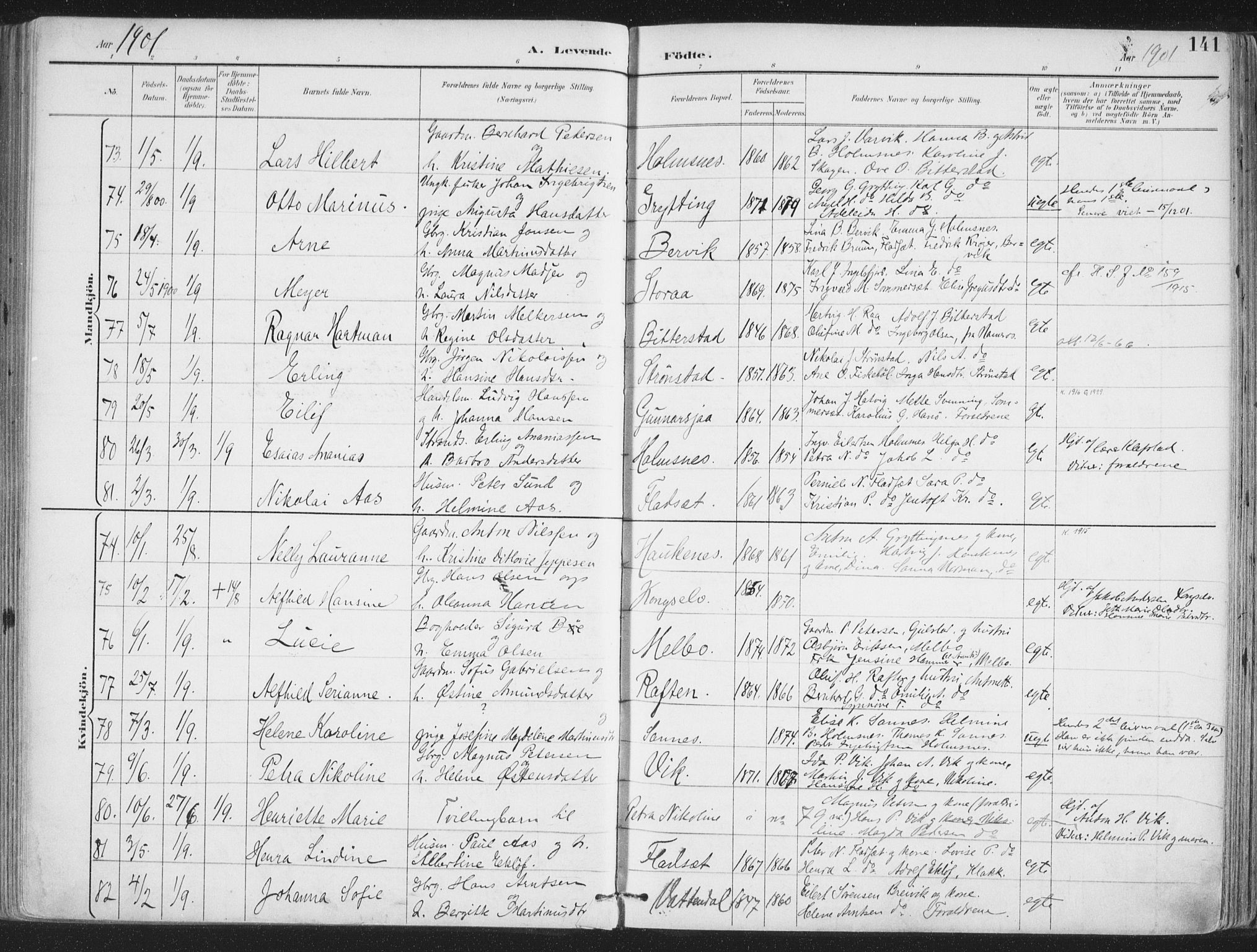 Ministerialprotokoller, klokkerbøker og fødselsregistre - Nordland, AV/SAT-A-1459/888/L1246: Parish register (official) no. 888A12, 1891-1903, p. 141