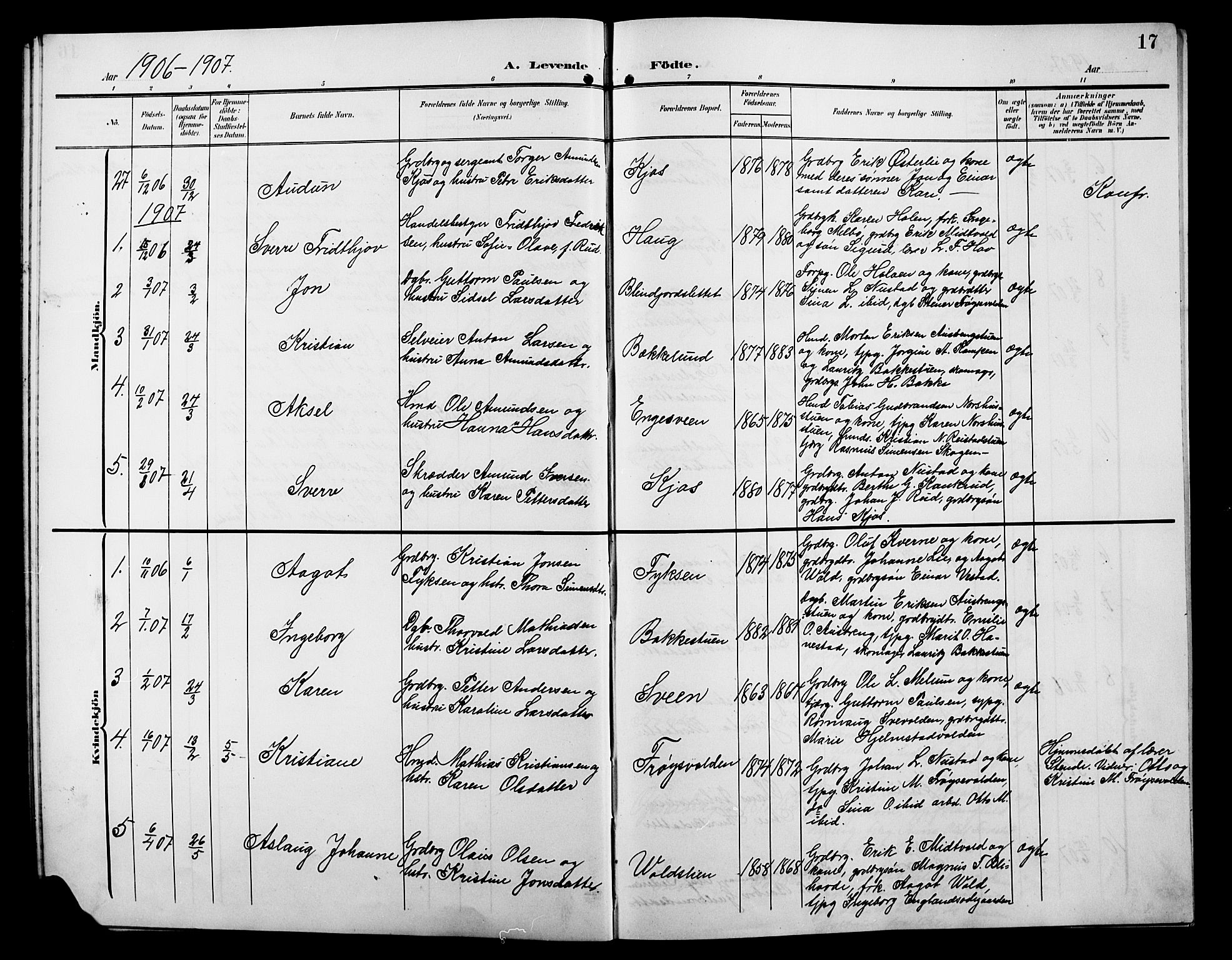 Østre Gausdal prestekontor, AV/SAH-PREST-092/H/Ha/Hab/L0004: Parish register (copy) no. 4, 1905-1923, p. 17