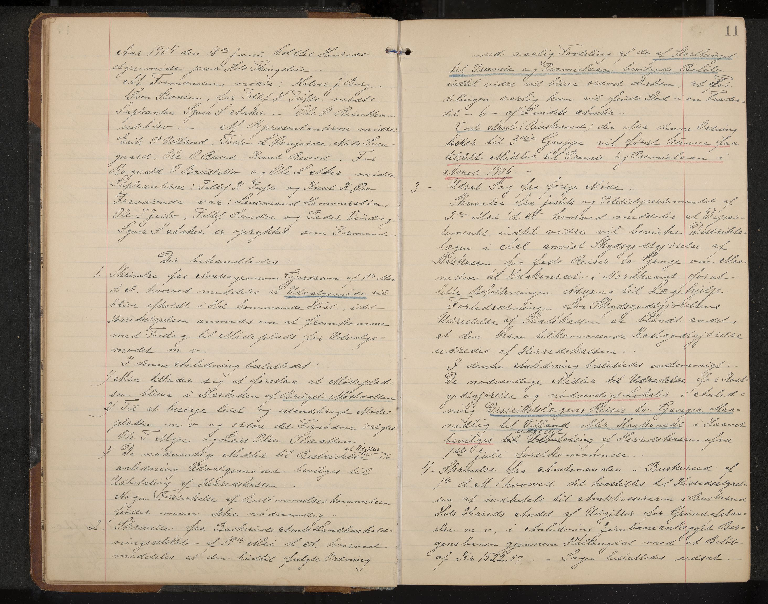 Hol formannskap og sentraladministrasjon, IKAK/0620021-1/A/L0004: Møtebok, 1904-1909, p. 11