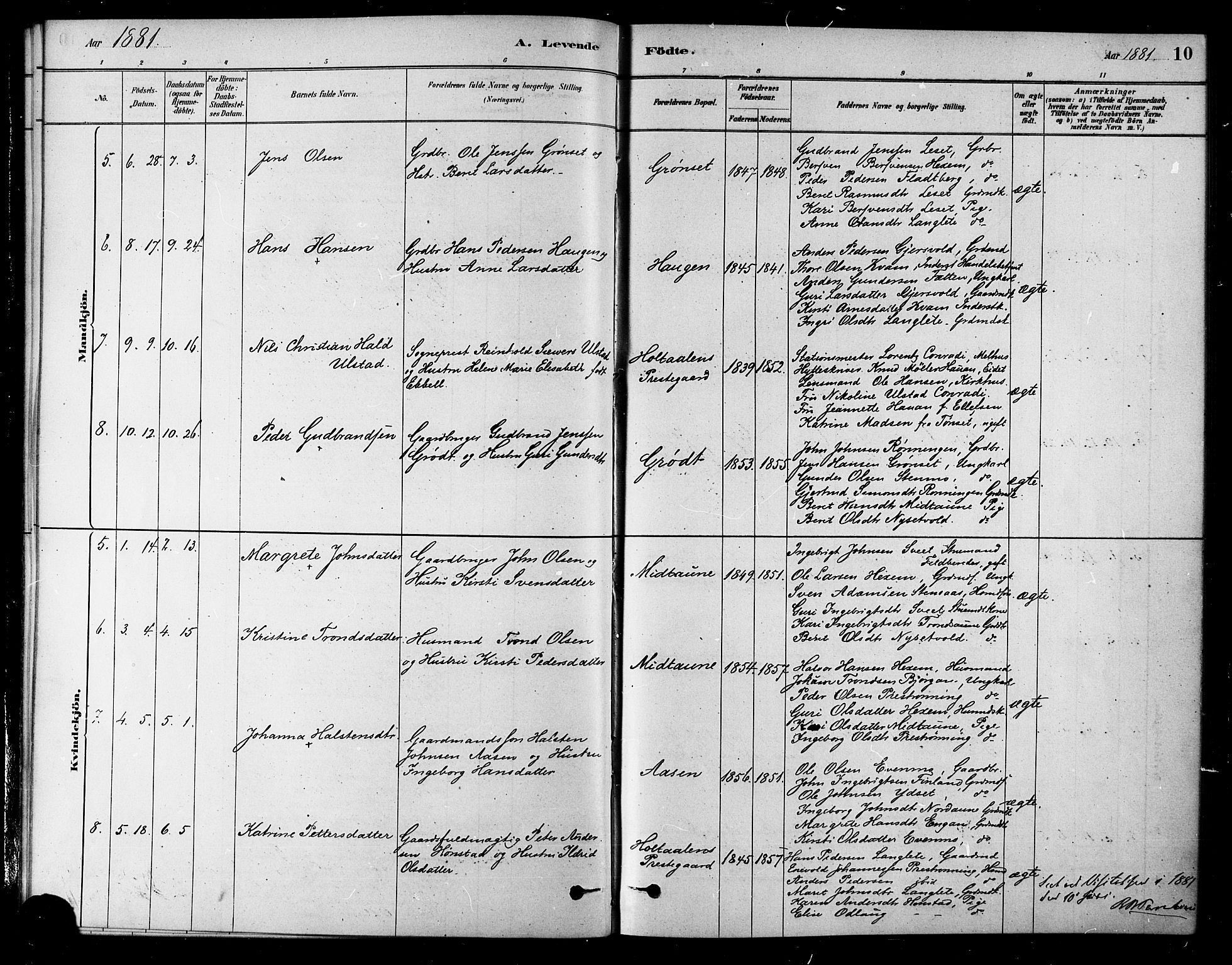 Ministerialprotokoller, klokkerbøker og fødselsregistre - Sør-Trøndelag, SAT/A-1456/685/L0972: Parish register (official) no. 685A09, 1879-1890, p. 10