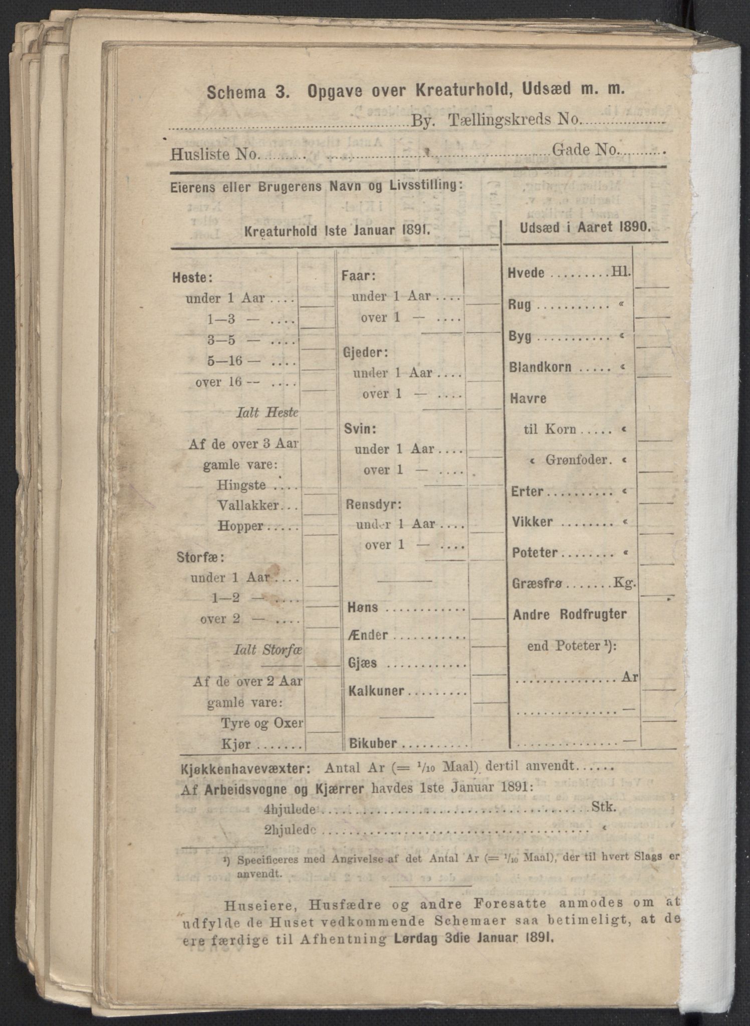RA, 1891 Census for 1301 Bergen, 1891, p. 4016