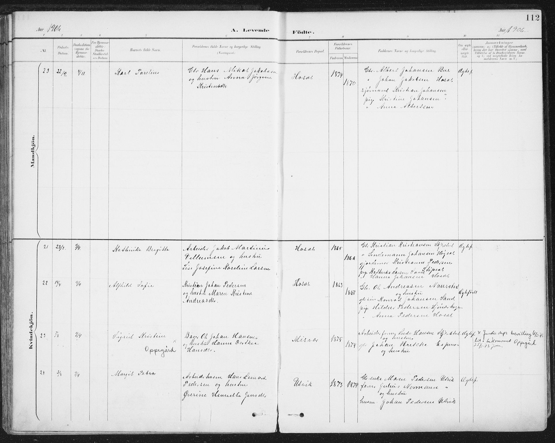 Ministerialprotokoller, klokkerbøker og fødselsregistre - Nordland, SAT/A-1459/852/L0741: Parish register (official) no. 852A11, 1894-1917, p. 112