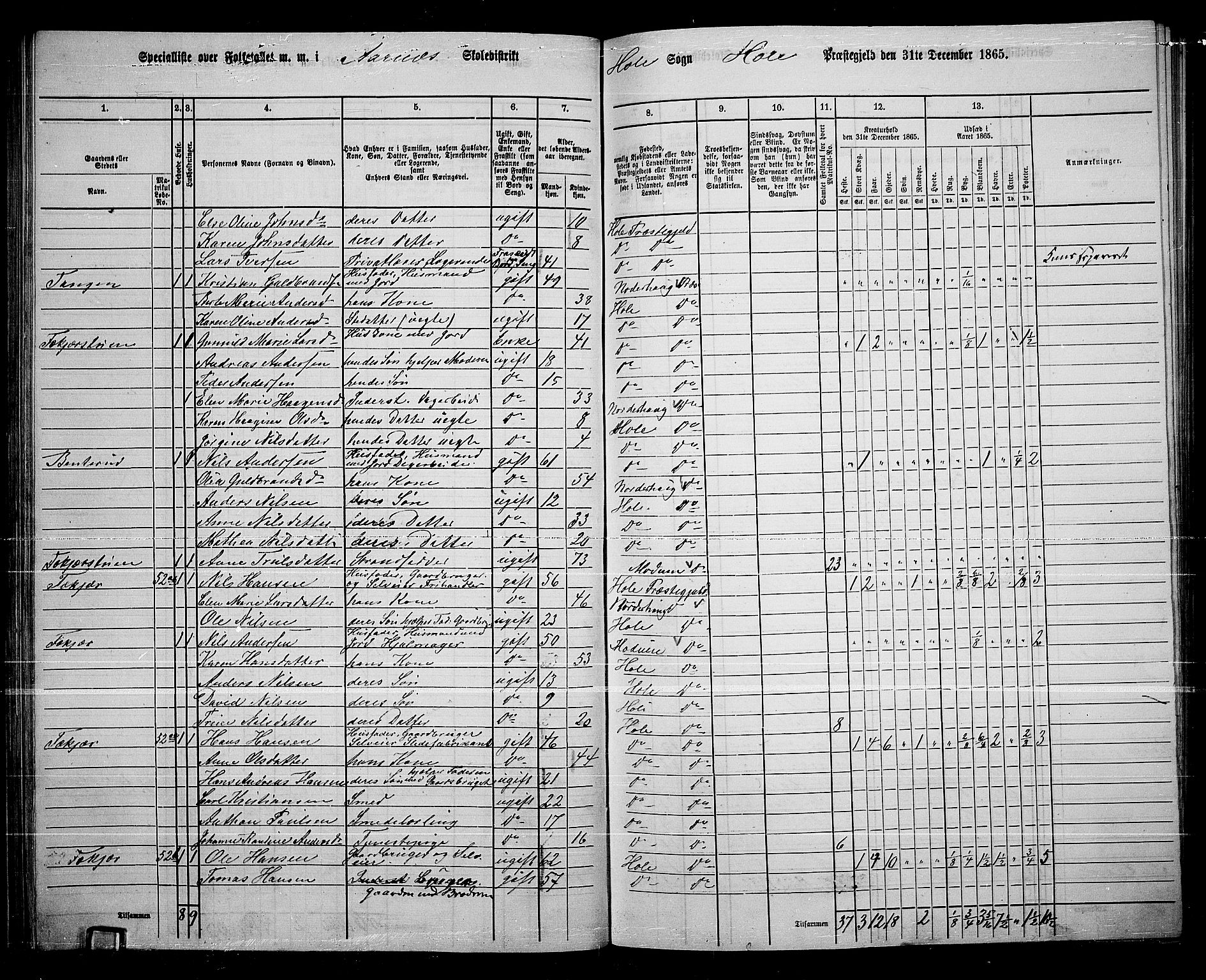 RA, 1865 census for Hole, 1865, p. 44