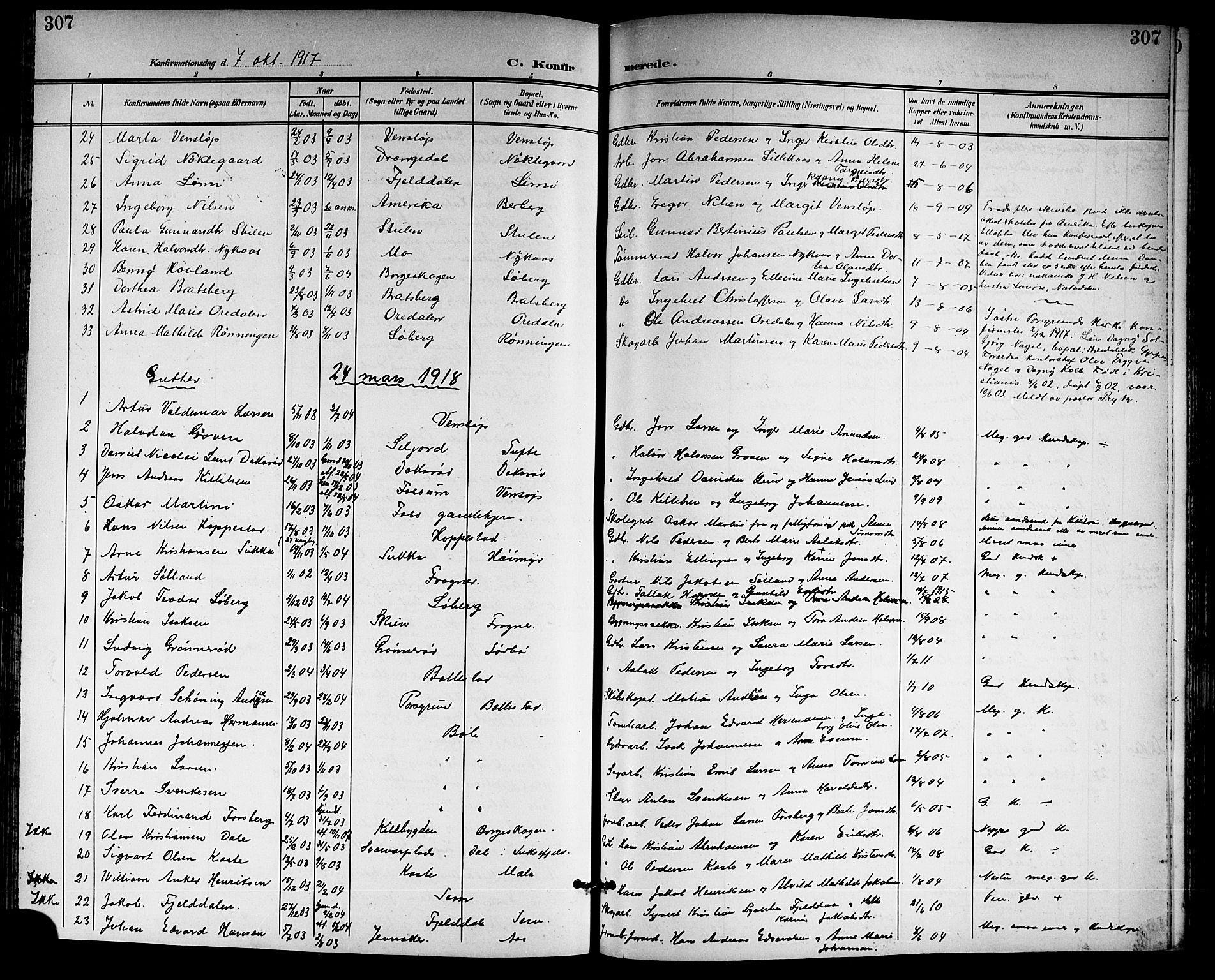 Gjerpen kirkebøker, SAKO/A-265/G/Ga/L0003: Parish register (copy) no. I 3, 1901-1919, p. 307