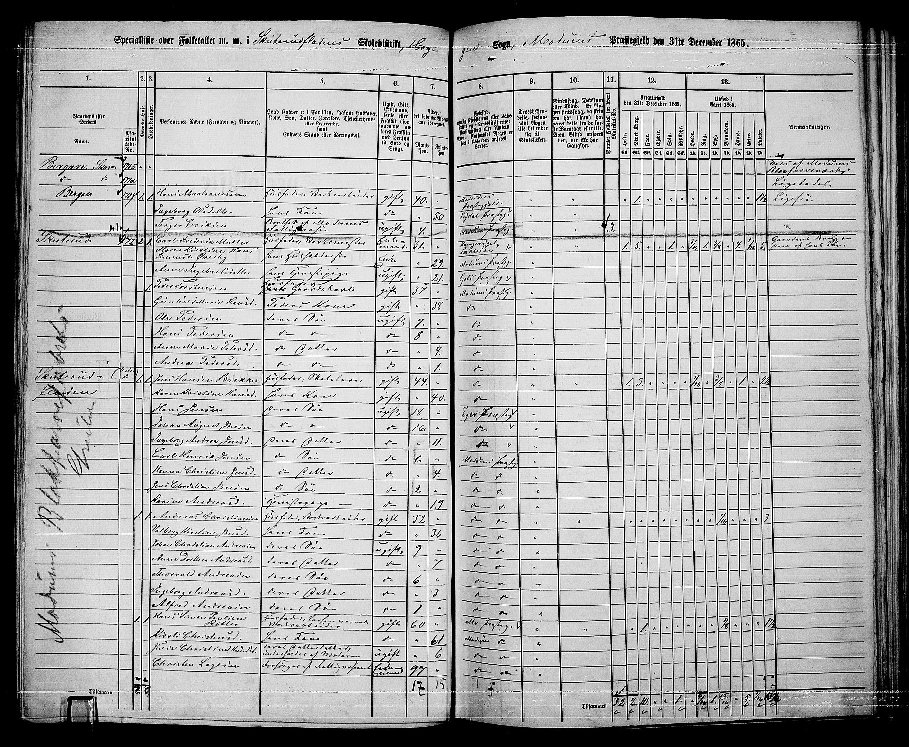 RA, 1865 census for Modum, 1865, p. 216