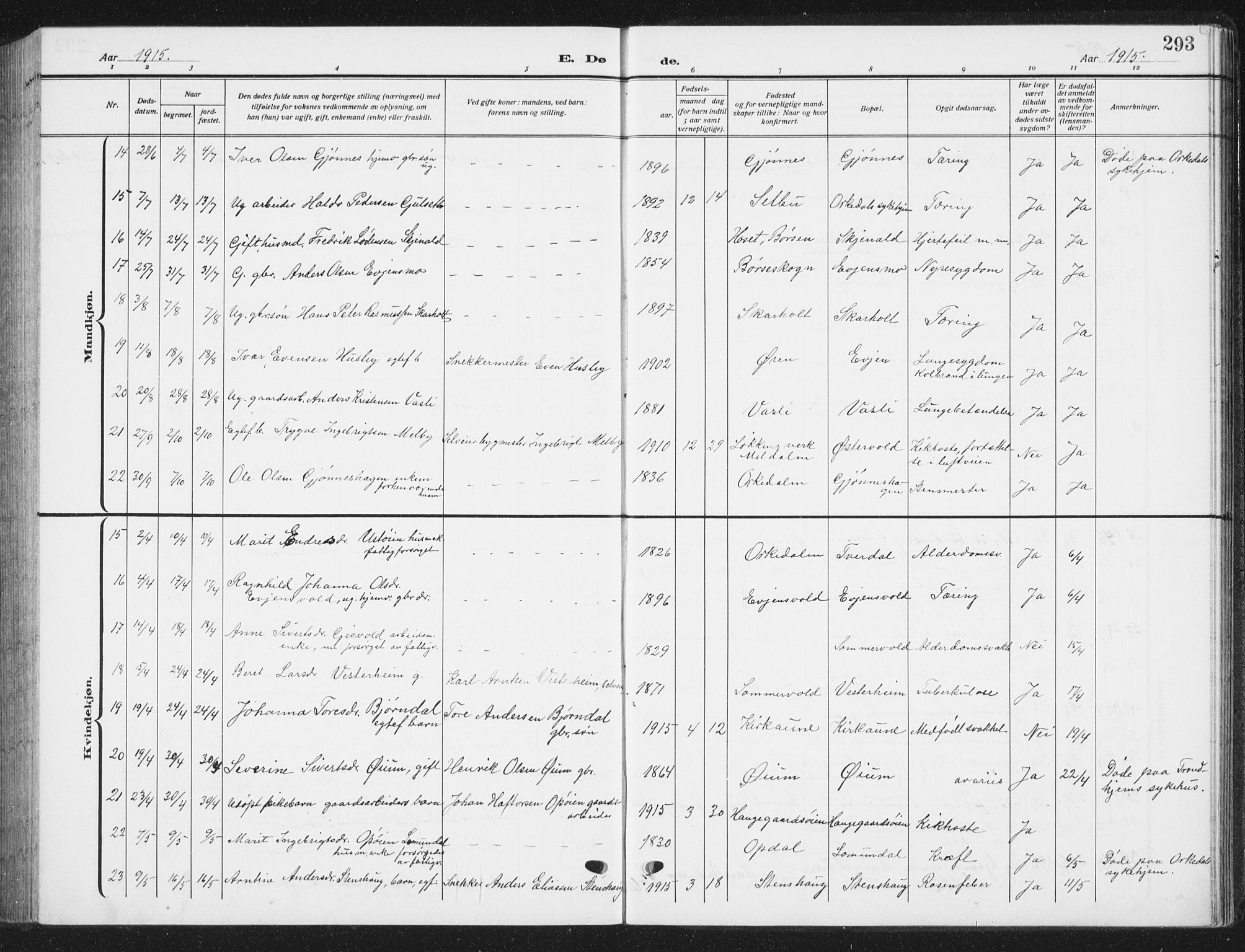 Ministerialprotokoller, klokkerbøker og fødselsregistre - Sør-Trøndelag, AV/SAT-A-1456/668/L0820: Parish register (copy) no. 668C09, 1912-1936, p. 293