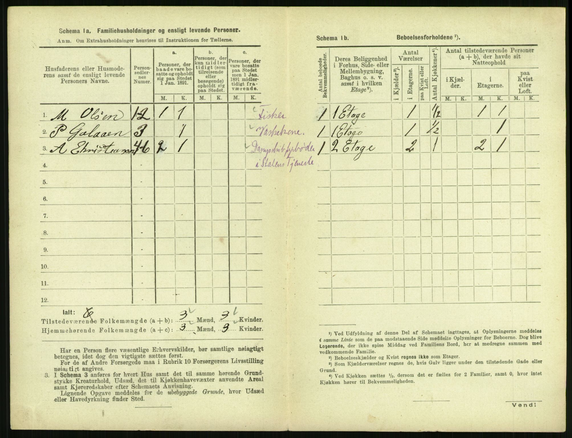 RA, 1891 census for 1702 Steinkjer, 1891, p. 1794