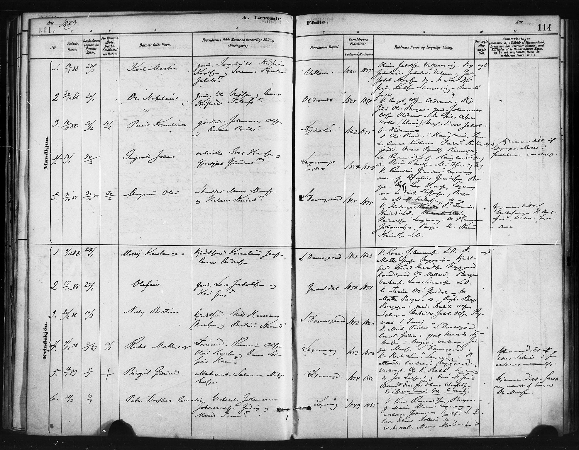 Askøy Sokneprestembete, SAB/A-74101/H/Ha/Haa/Haae/L0002: Parish register (official) no. E 2, 1878-1891, p. 114