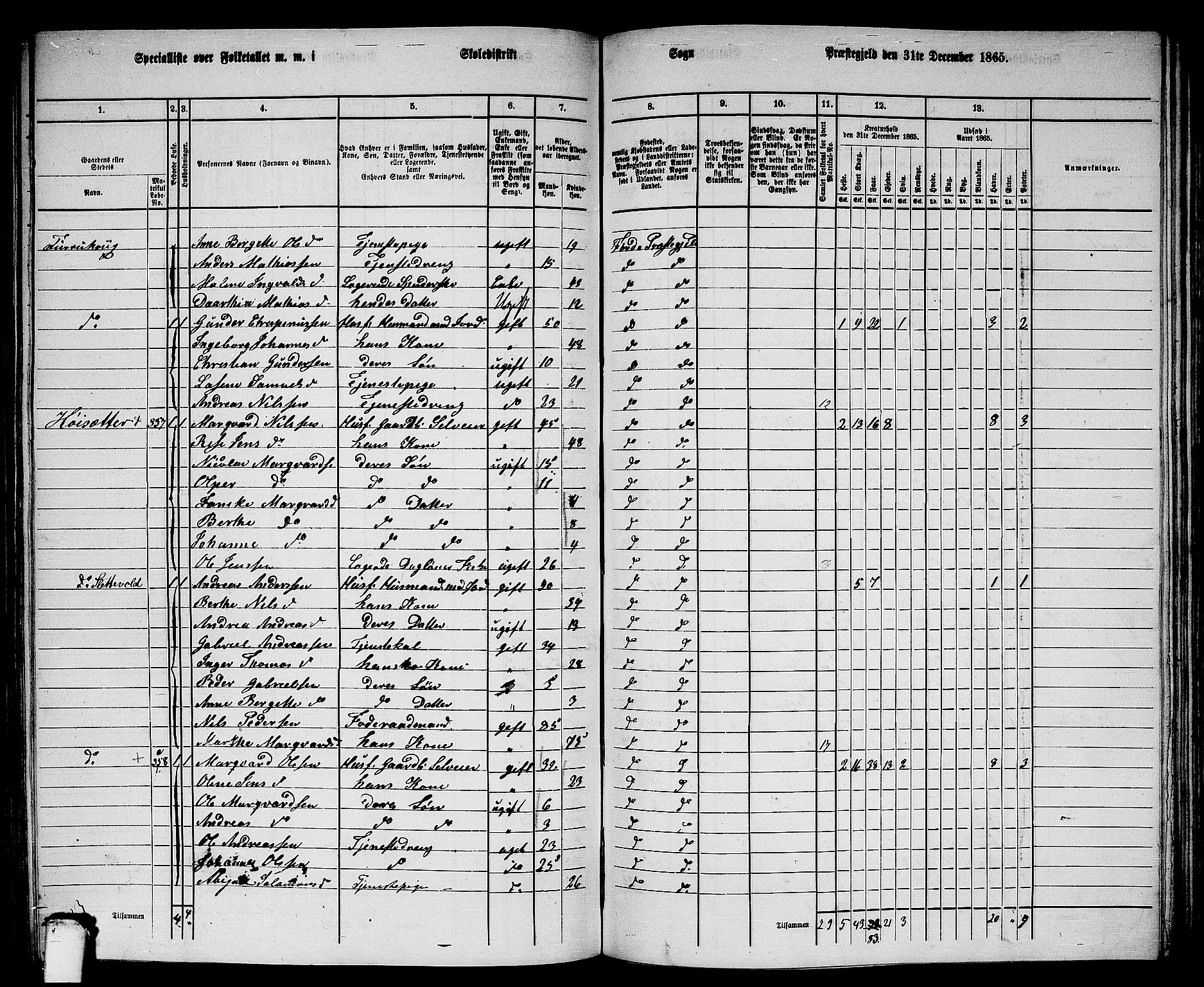 RA, 1865 census for Førde, 1865, p. 201