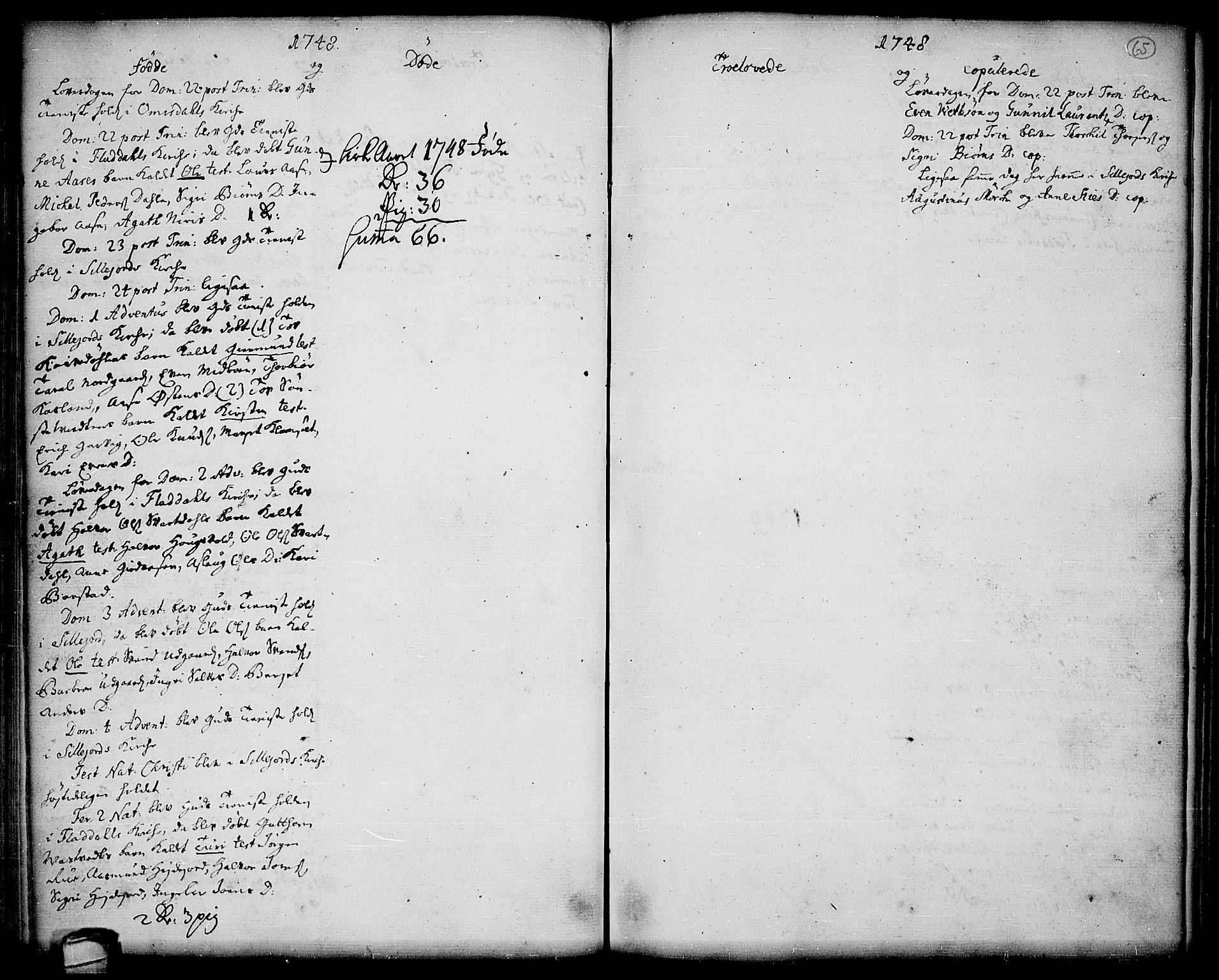Seljord kirkebøker, SAKO/A-20/F/Fa/L0006: Parish register (official) no. I 6, 1744-1755, p. 65