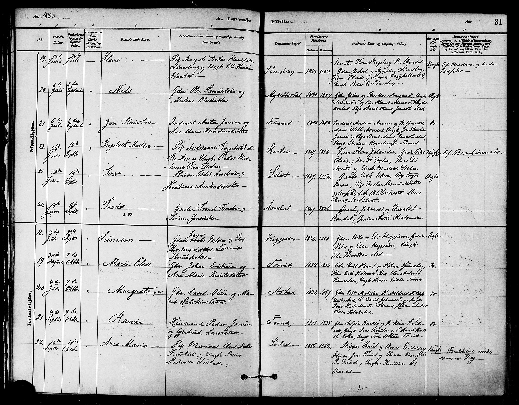 Ministerialprotokoller, klokkerbøker og fødselsregistre - Møre og Romsdal, AV/SAT-A-1454/584/L0967: Parish register (official) no. 584A07, 1879-1894, p. 31