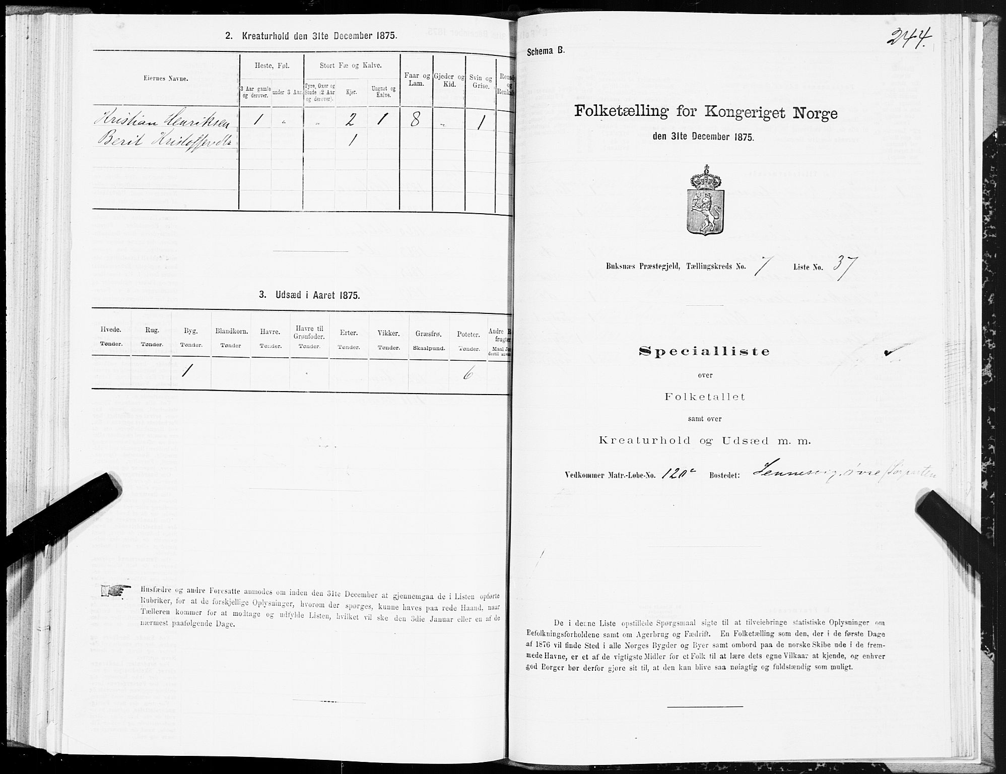 SAT, 1875 census for 1860P Buksnes, 1875, p. 3244