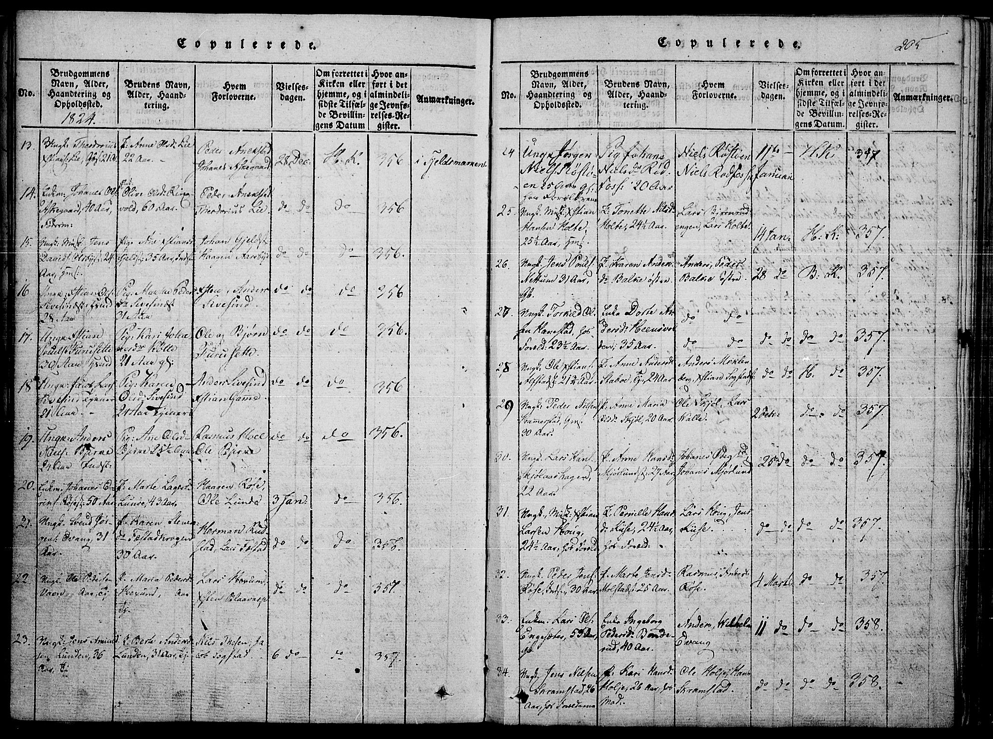 Toten prestekontor, SAH/PREST-102/H/Ha/Haa/L0010: Parish register (official) no. 10, 1820-1828, p. 205