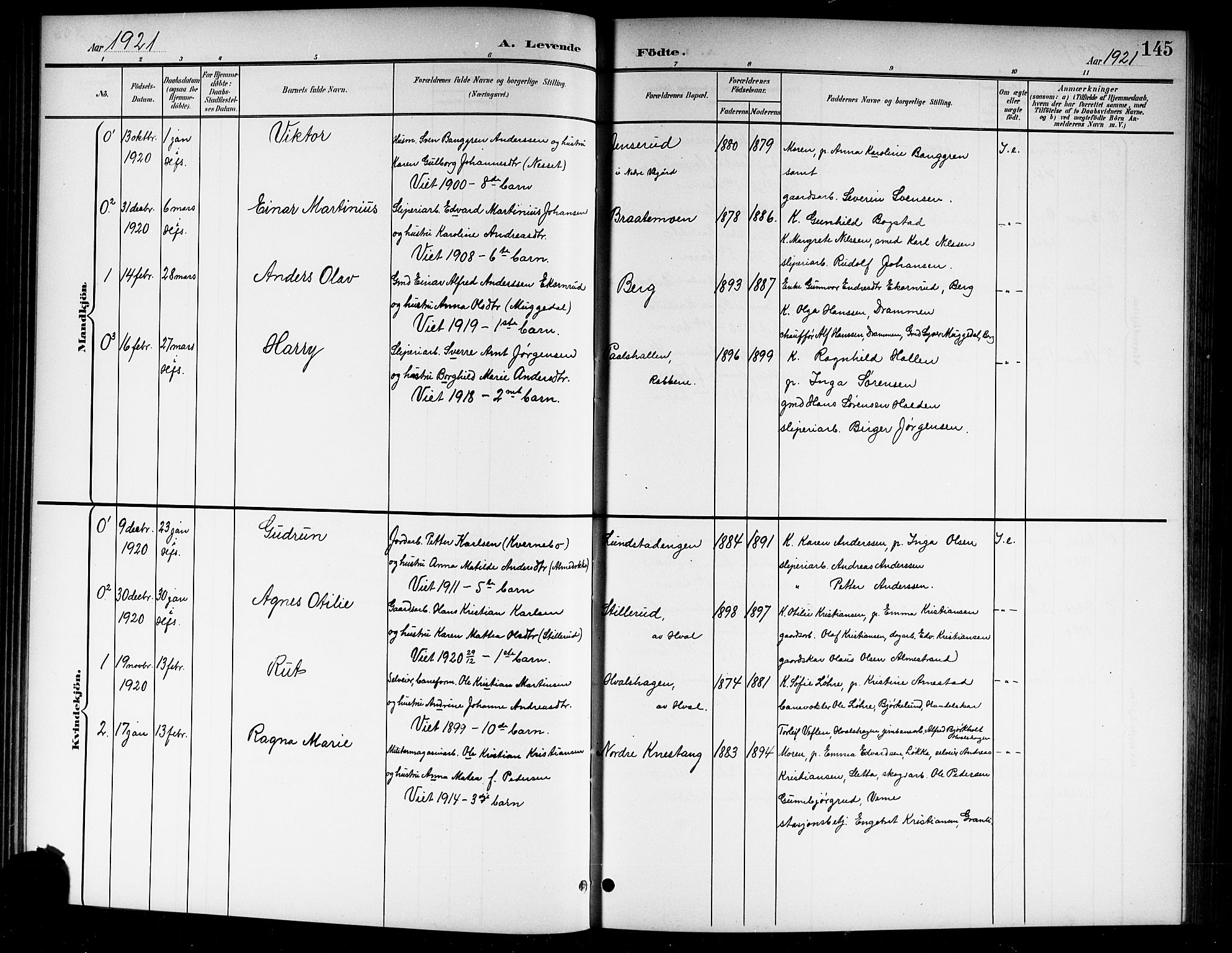 Norderhov kirkebøker, SAKO/A-237/G/Gb/L0002: Parish register (copy) no. II 2, 1891-1921, p. 145