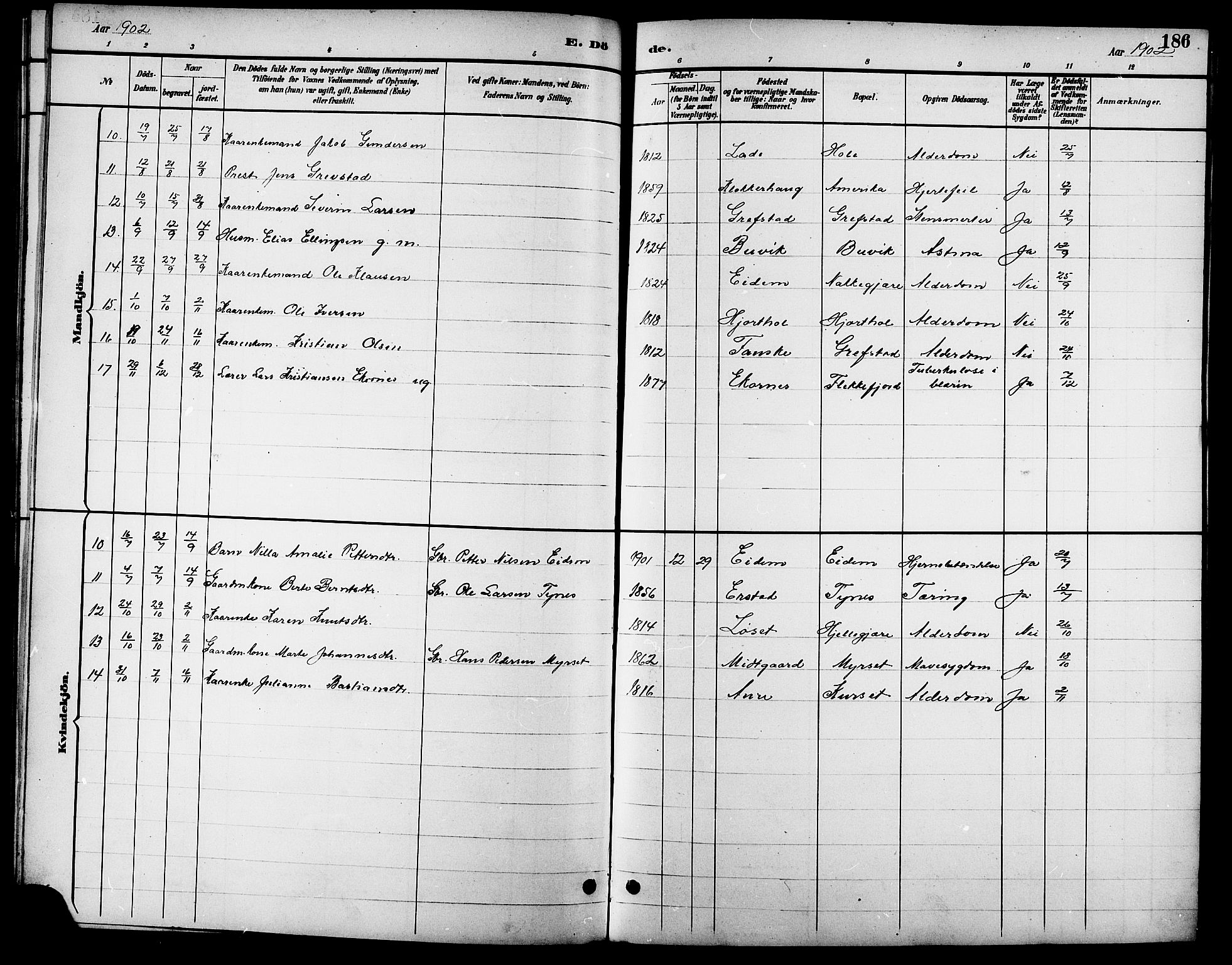 Ministerialprotokoller, klokkerbøker og fødselsregistre - Møre og Romsdal, AV/SAT-A-1454/523/L0340: Parish register (copy) no. 523C03, 1892-1902, p. 186