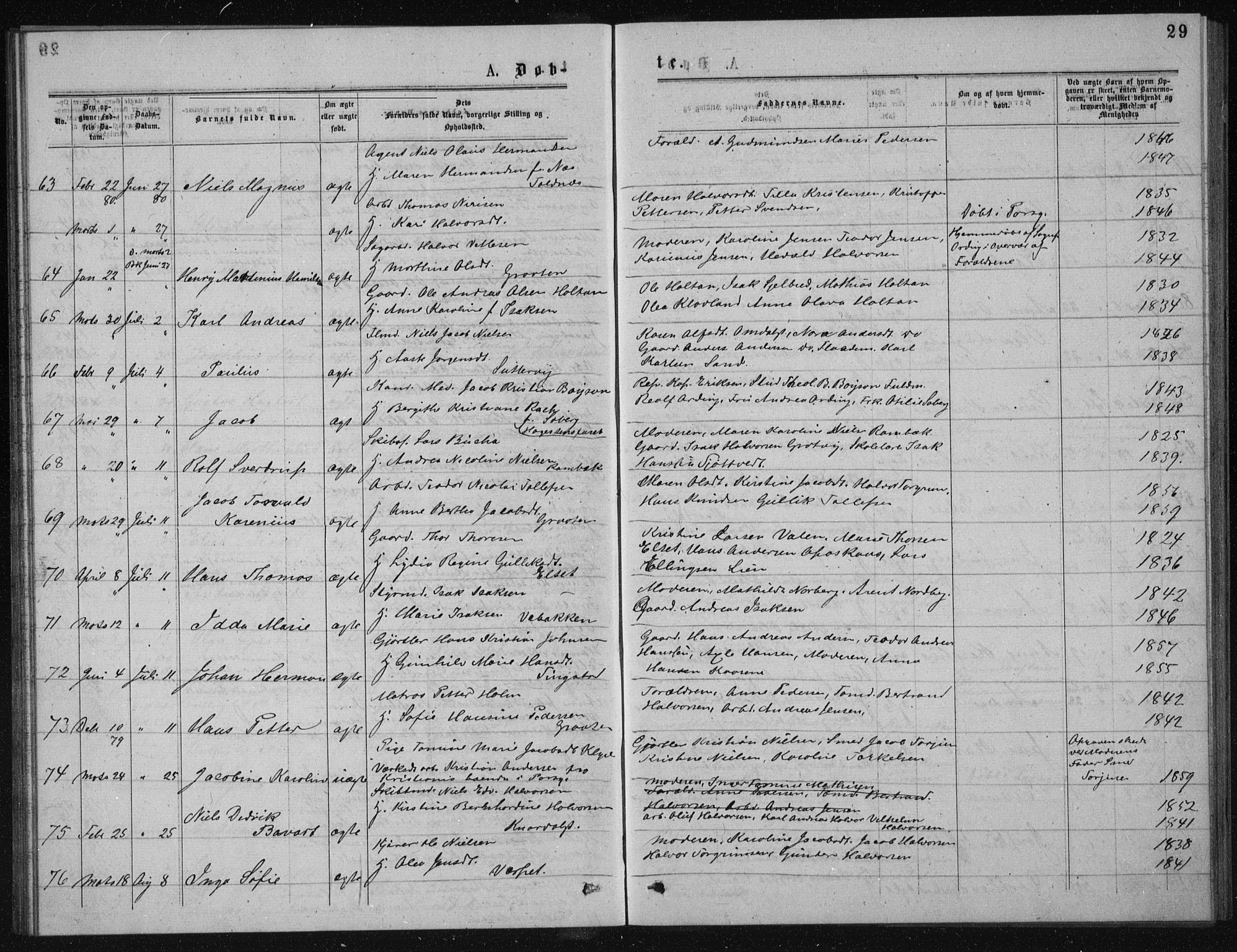 Solum kirkebøker, AV/SAKO-A-306/G/Ga/L0005: Parish register (copy) no. I 5, 1877-1881, p. 29