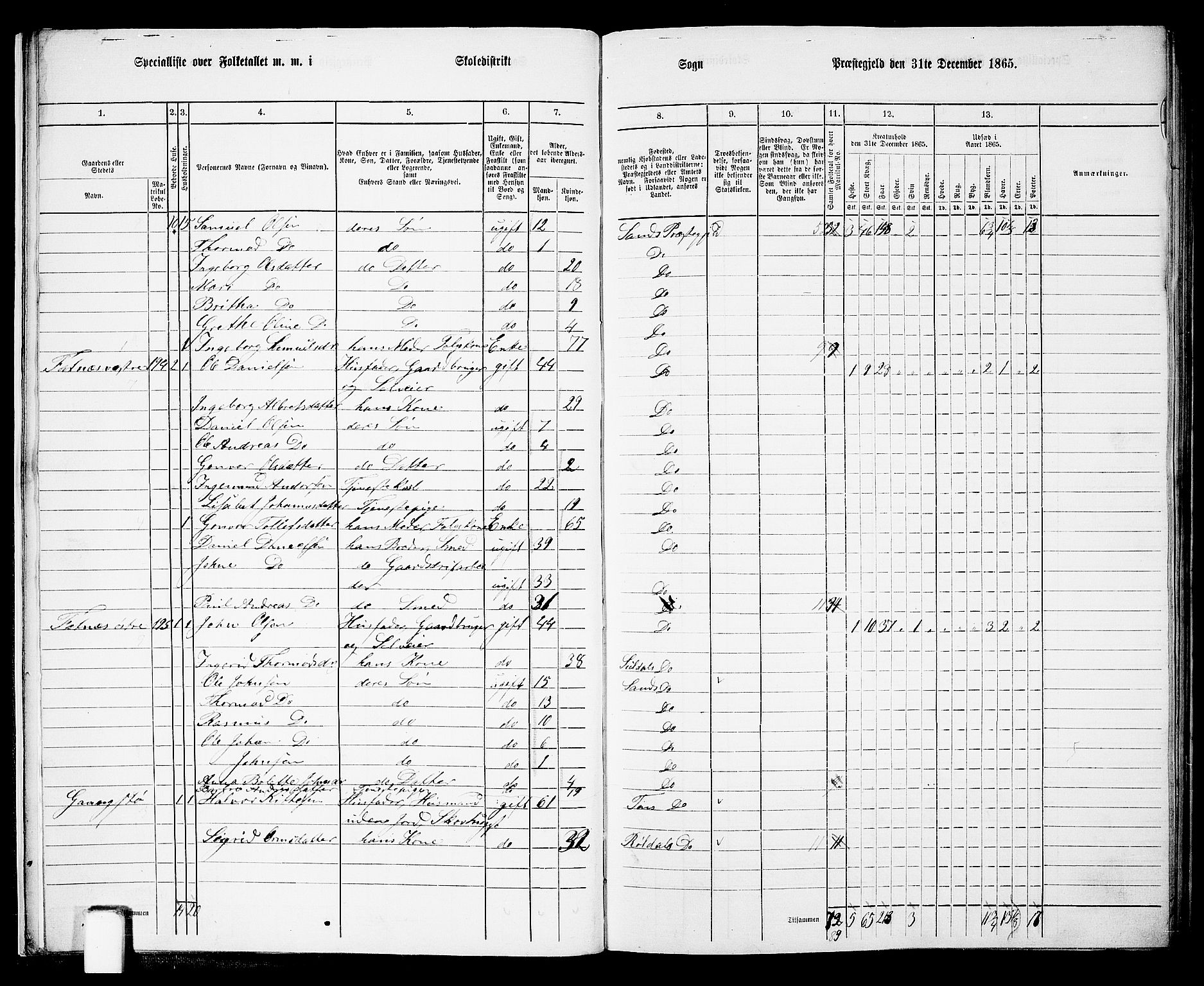 RA, 1865 census for Sand, 1865, p. 13