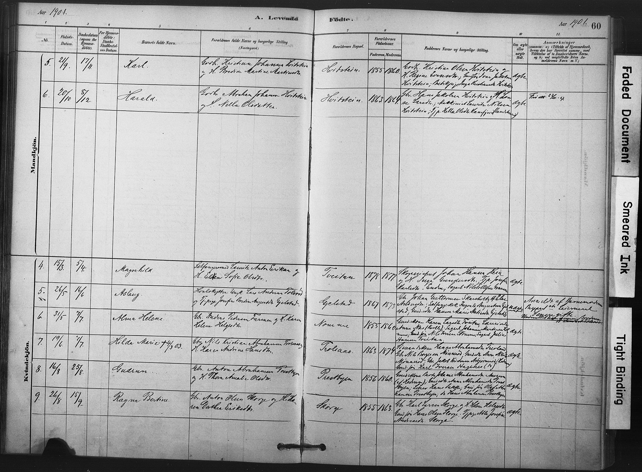 Andebu kirkebøker, AV/SAKO-A-336/F/Fa/L0008: Parish register (official) no. 8, 1878-1902, p. 60