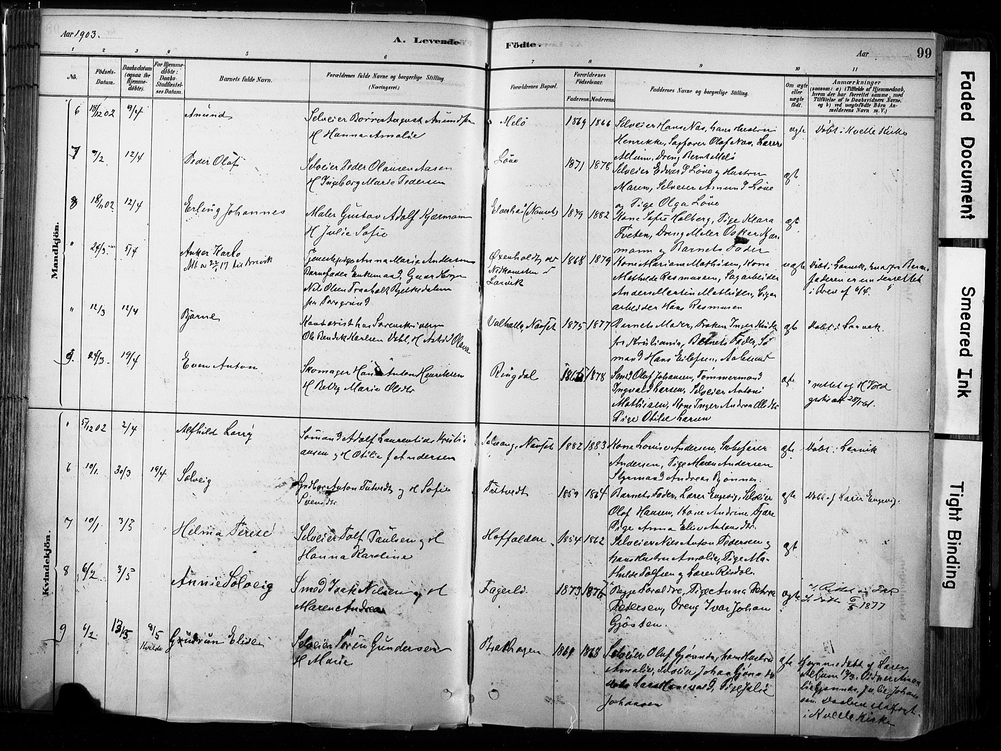 Hedrum kirkebøker, AV/SAKO-A-344/F/Fa/L0009: Parish register (official) no. I 9, 1881-1903, p. 99