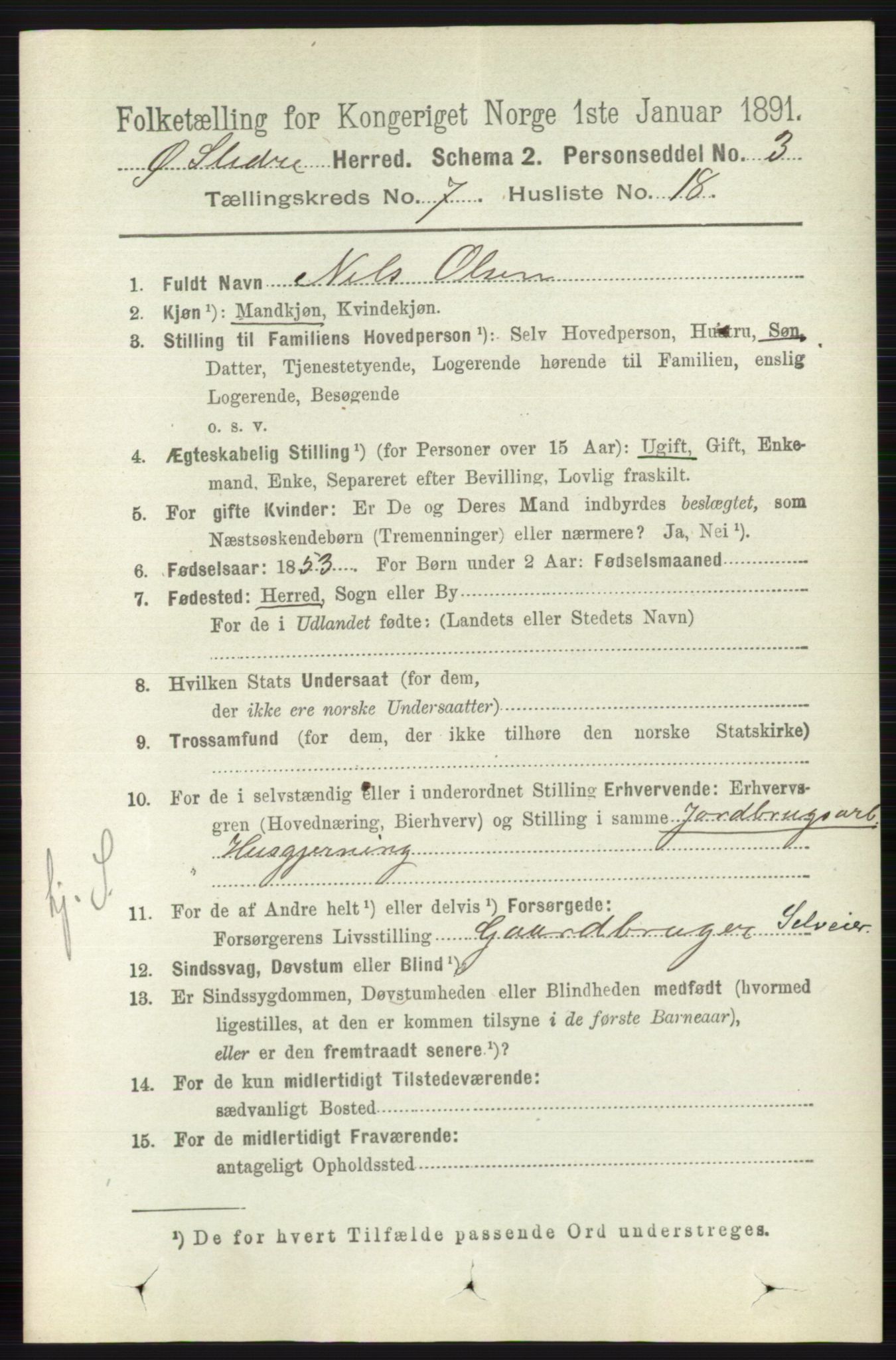 RA, 1891 census for 0544 Øystre Slidre, 1891, p. 2260