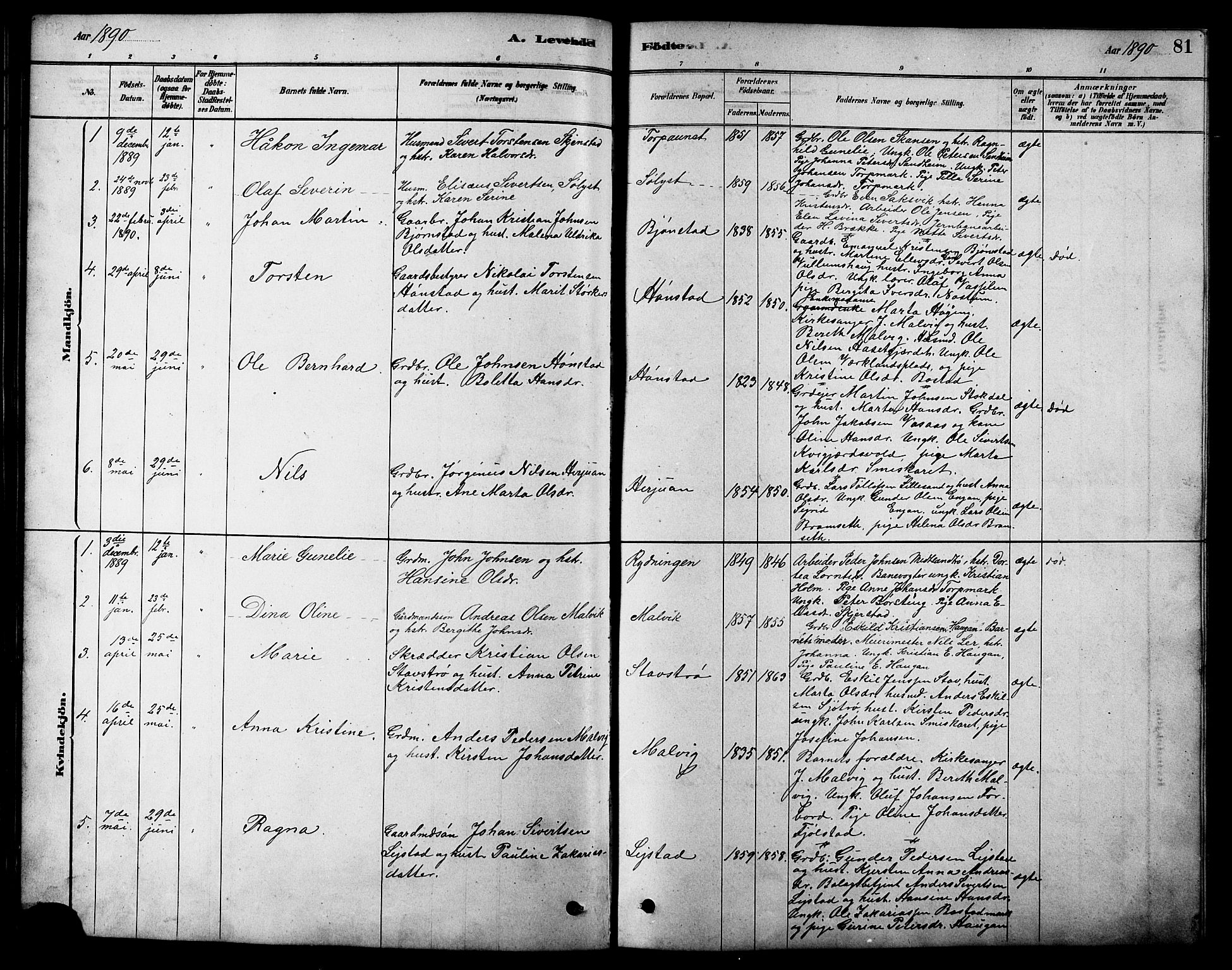 Ministerialprotokoller, klokkerbøker og fødselsregistre - Sør-Trøndelag, SAT/A-1456/616/L0423: Parish register (copy) no. 616C06, 1878-1903, p. 81