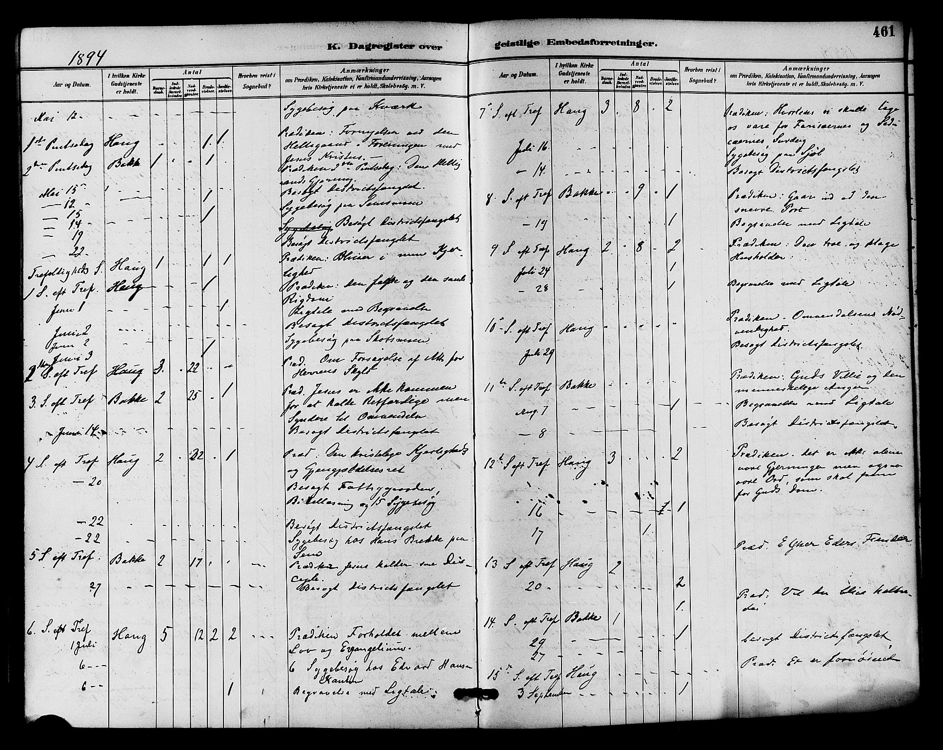 Eiker kirkebøker, AV/SAKO-A-4/F/Fb/L0002: Parish register (official) no. II 2, 1889-1896, p. 461