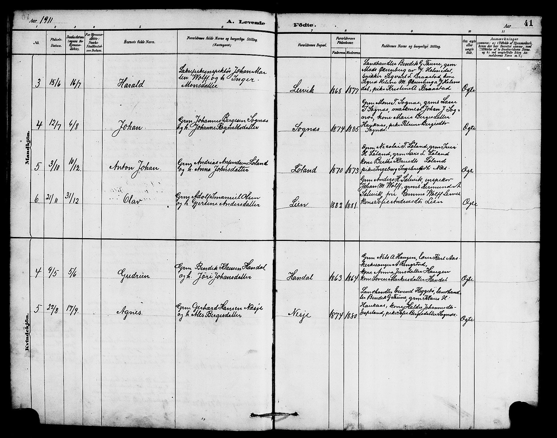 Hyllestad sokneprestembete, SAB/A-80401: Parish register (copy) no. B 2, 1889-1915, p. 41