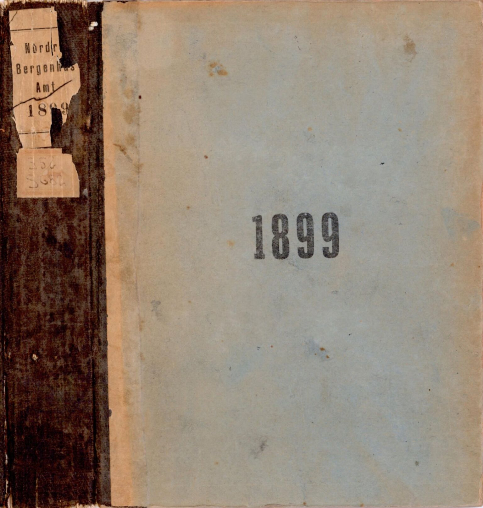 Sogn og Fjordane fylkeskommune. Fylkestinget, VLFK/FK-1096/A/Aa/Aaa/L0063: Fylkestingsforhandlingar for Sogn og Fjordane fylkeskommune, 1899