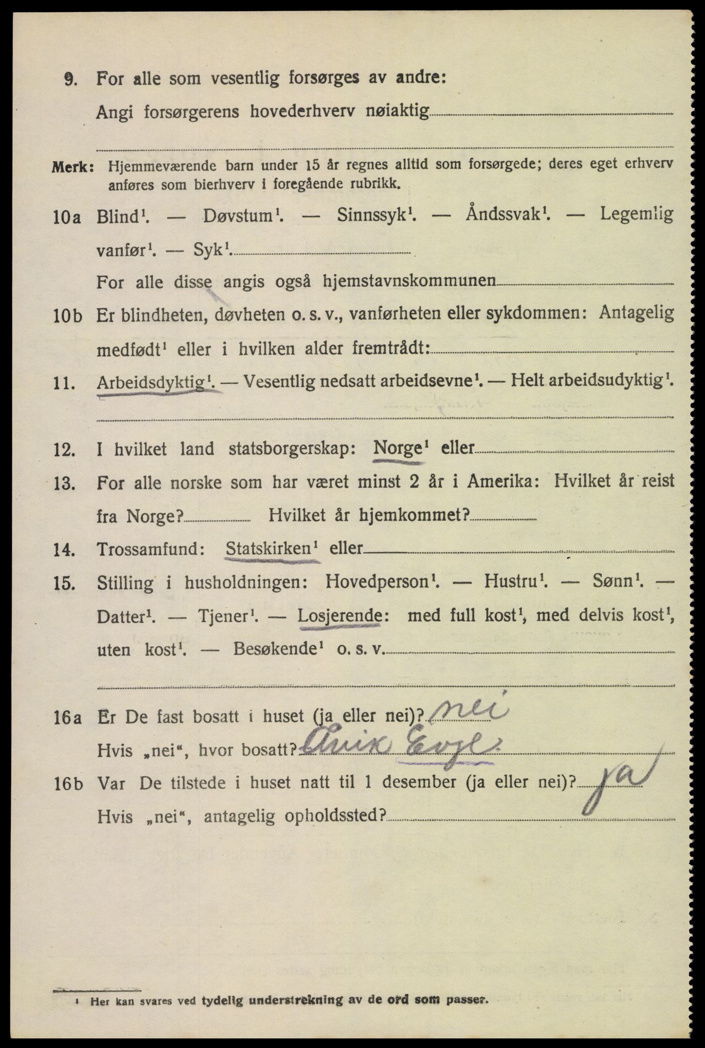 SAK, 1920 census for Hornnes, 1920, p. 3238