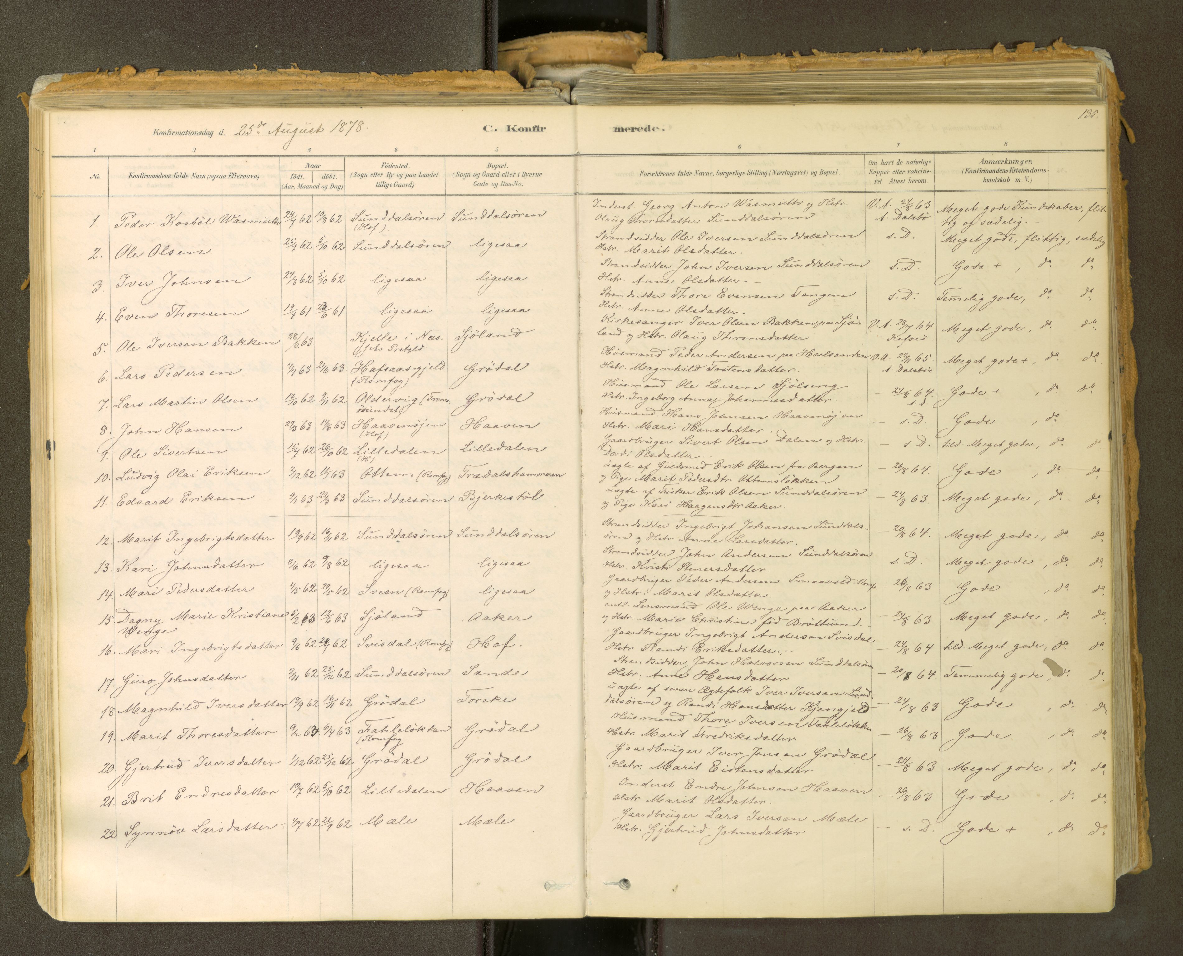 Sunndal sokneprestkontor, SAT/A-1085/1/I/I1/I1a: Parish register (official) no. 2, 1877-1914, p. 135