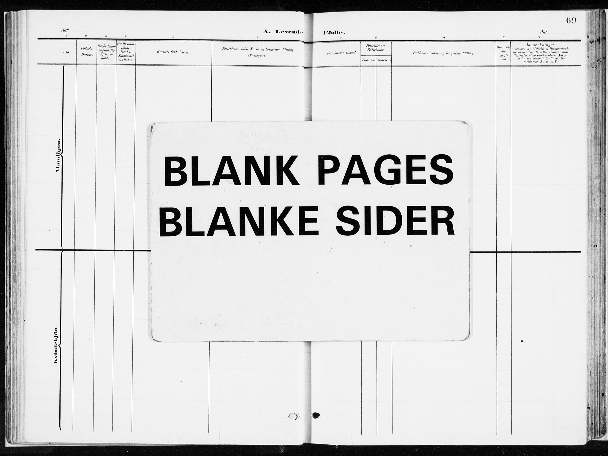 Ringsaker prestekontor, AV/SAH-PREST-014/K/Ka/L0019: Parish register (official) no. 19, 1905-1920, p. 69