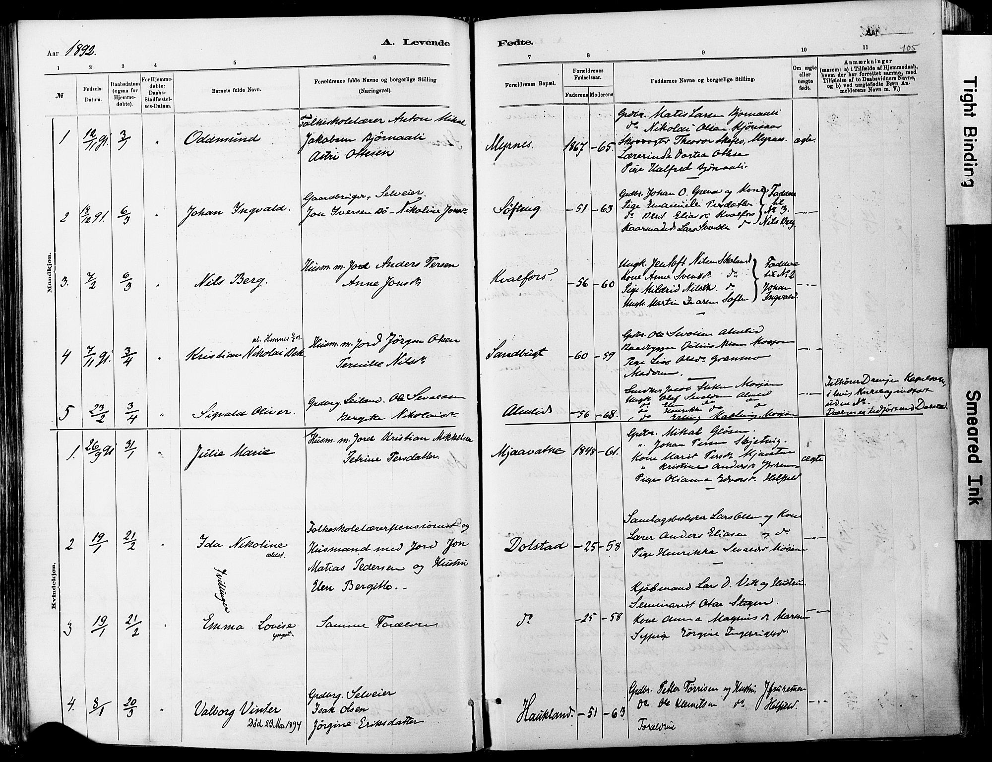 Ministerialprotokoller, klokkerbøker og fødselsregistre - Nordland, AV/SAT-A-1459/820/L0295: Parish register (official) no. 820A16, 1880-1896, p. 105