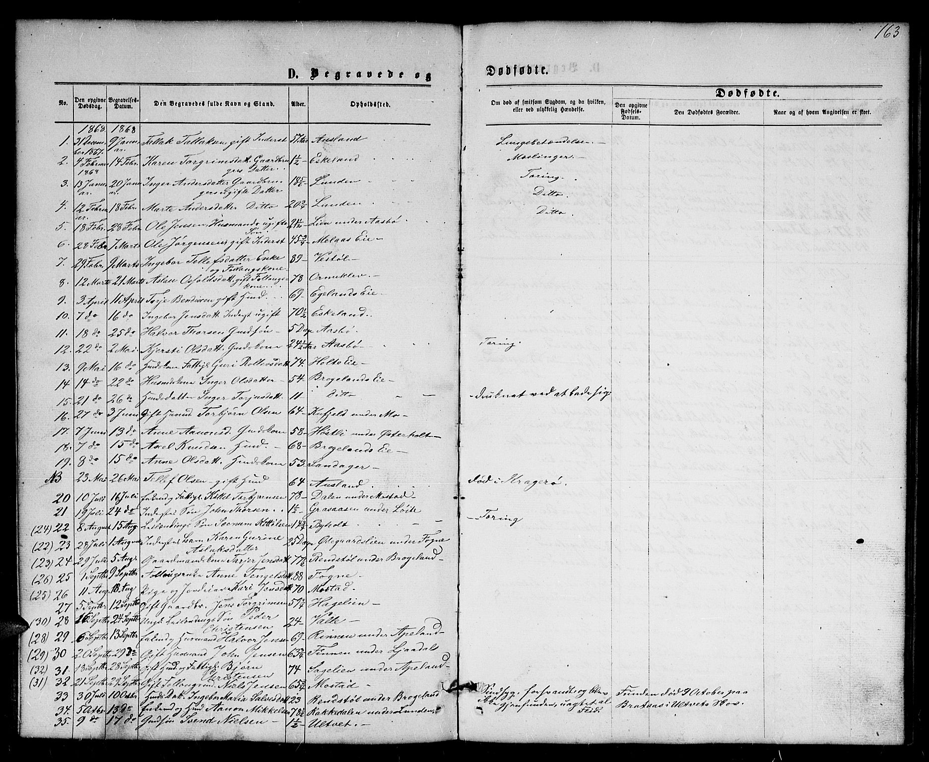 Gjerstad sokneprestkontor, SAK/1111-0014/F/Fb/Fba/L0006: Parish register (copy) no. B 6, 1868-1890, p. 163